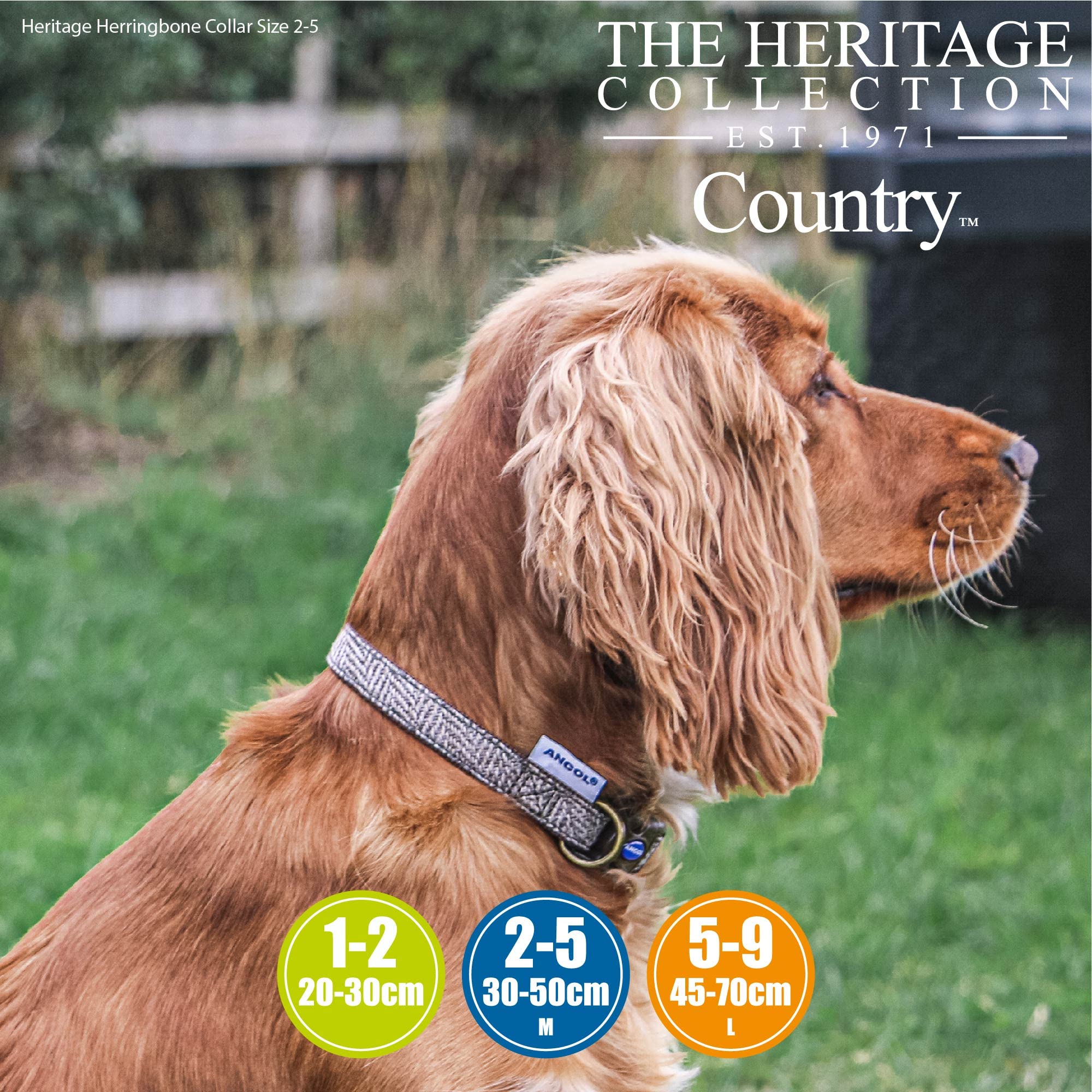 Ancol Country Herringbone Adjustable Dog Collar - Brown Nylon Base | Fits 30-50cm Neck 4