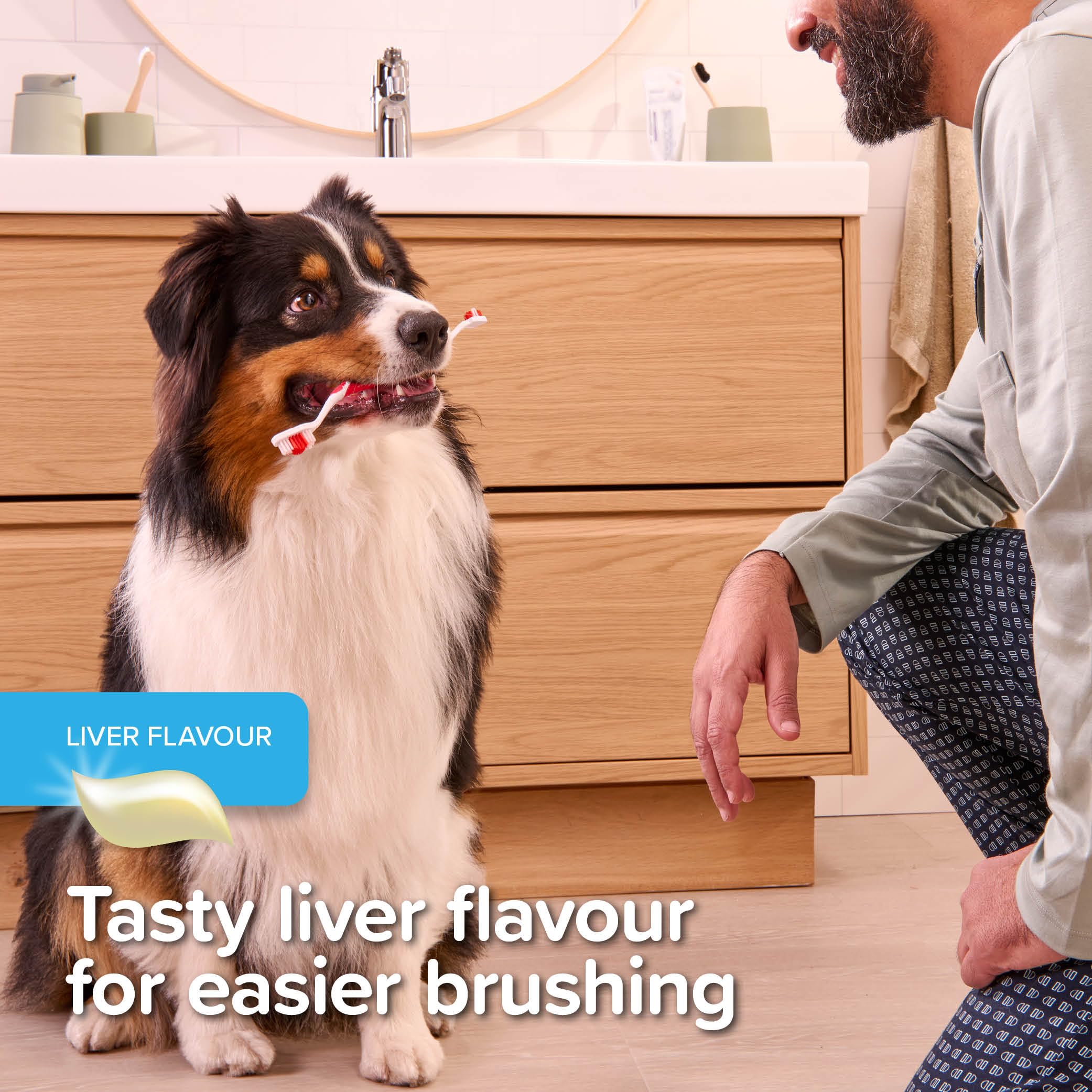 Beaphar Liver Flavour Toothpaste with Enzymes for Dogs & Cats | 100g | Fluoride & Xylitol Free 4