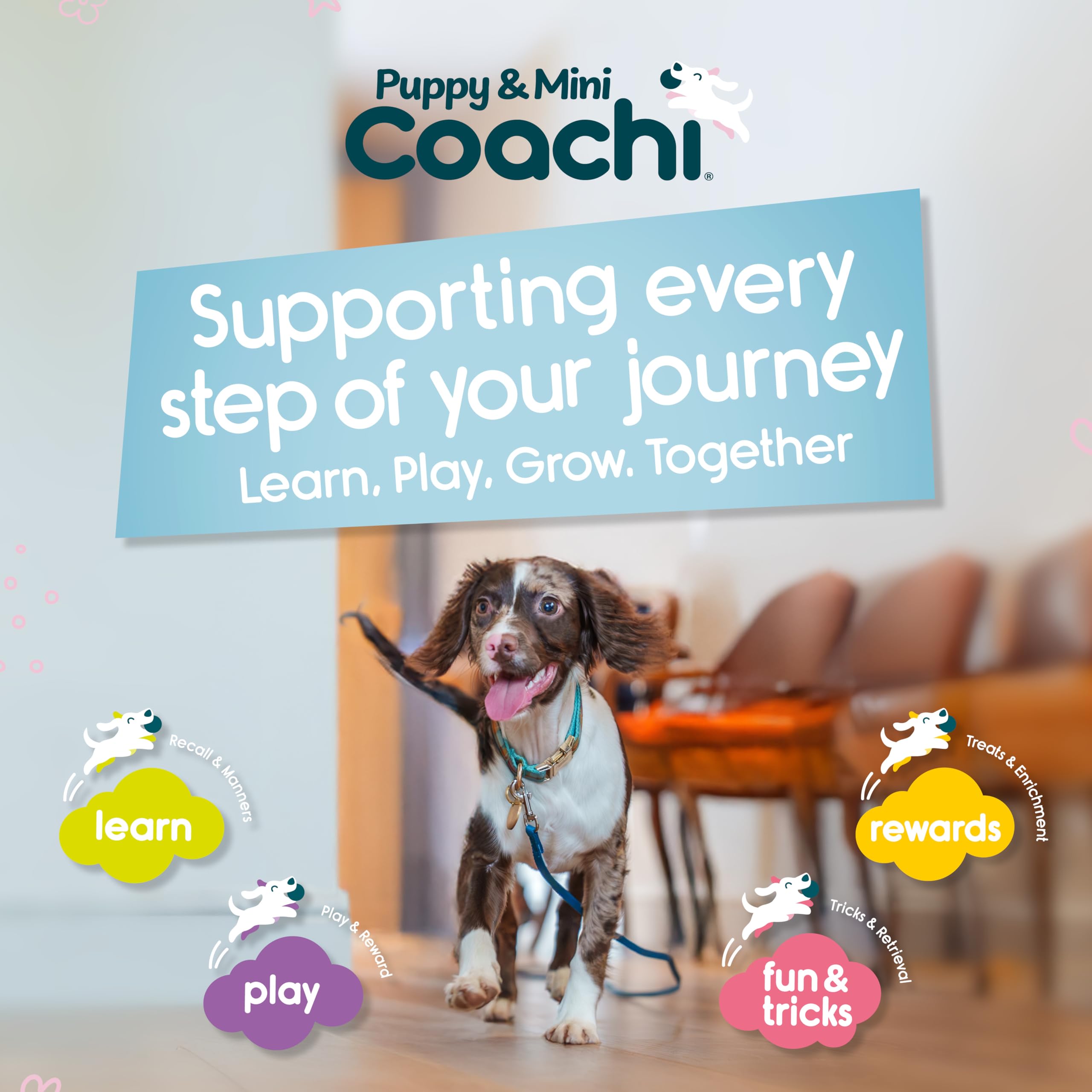 Coachi Puppy & Mini Whizzclick - 2-in-1 Combined Clicker and Whistle for Dog Training | Teal/Mint 6