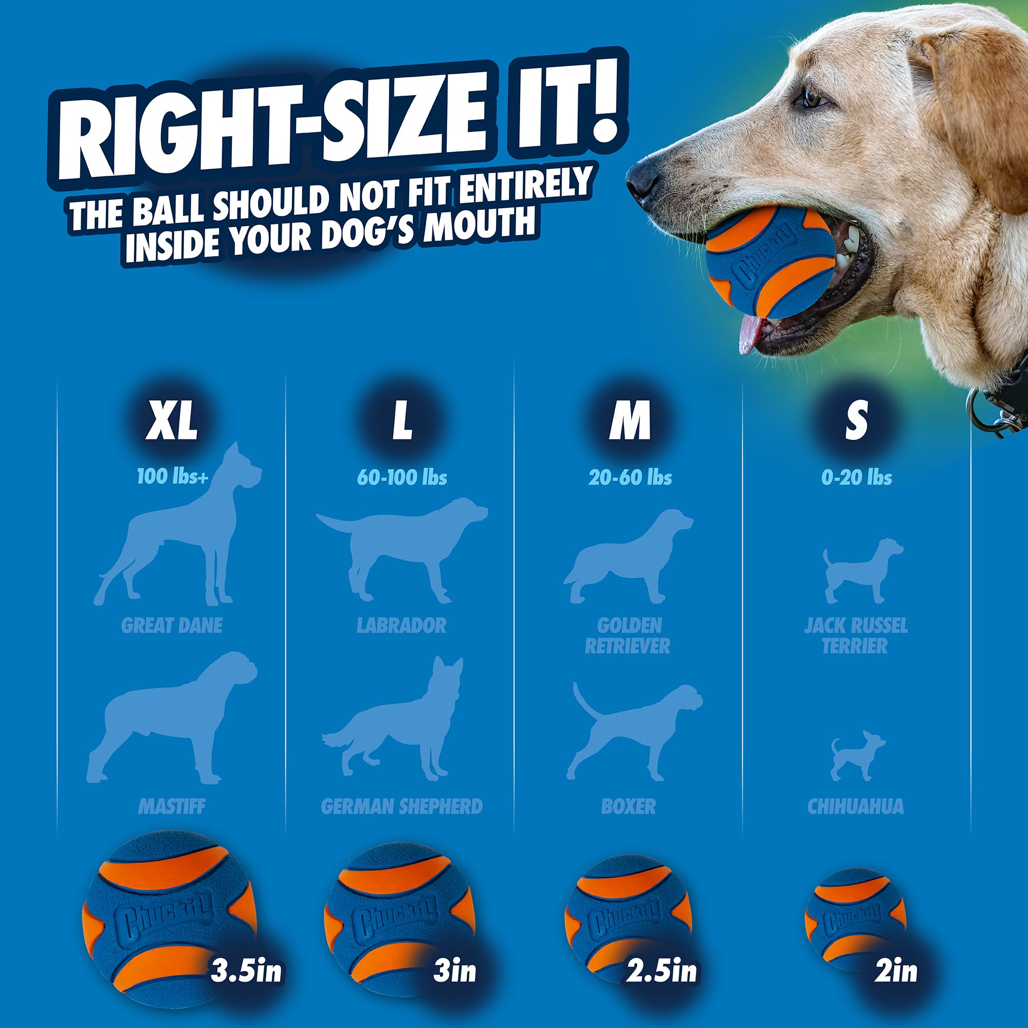 Chuckit! Ultra Squeaker Ball Dog Toy - Durable Rubber & Launcher Compatible | Medium 7