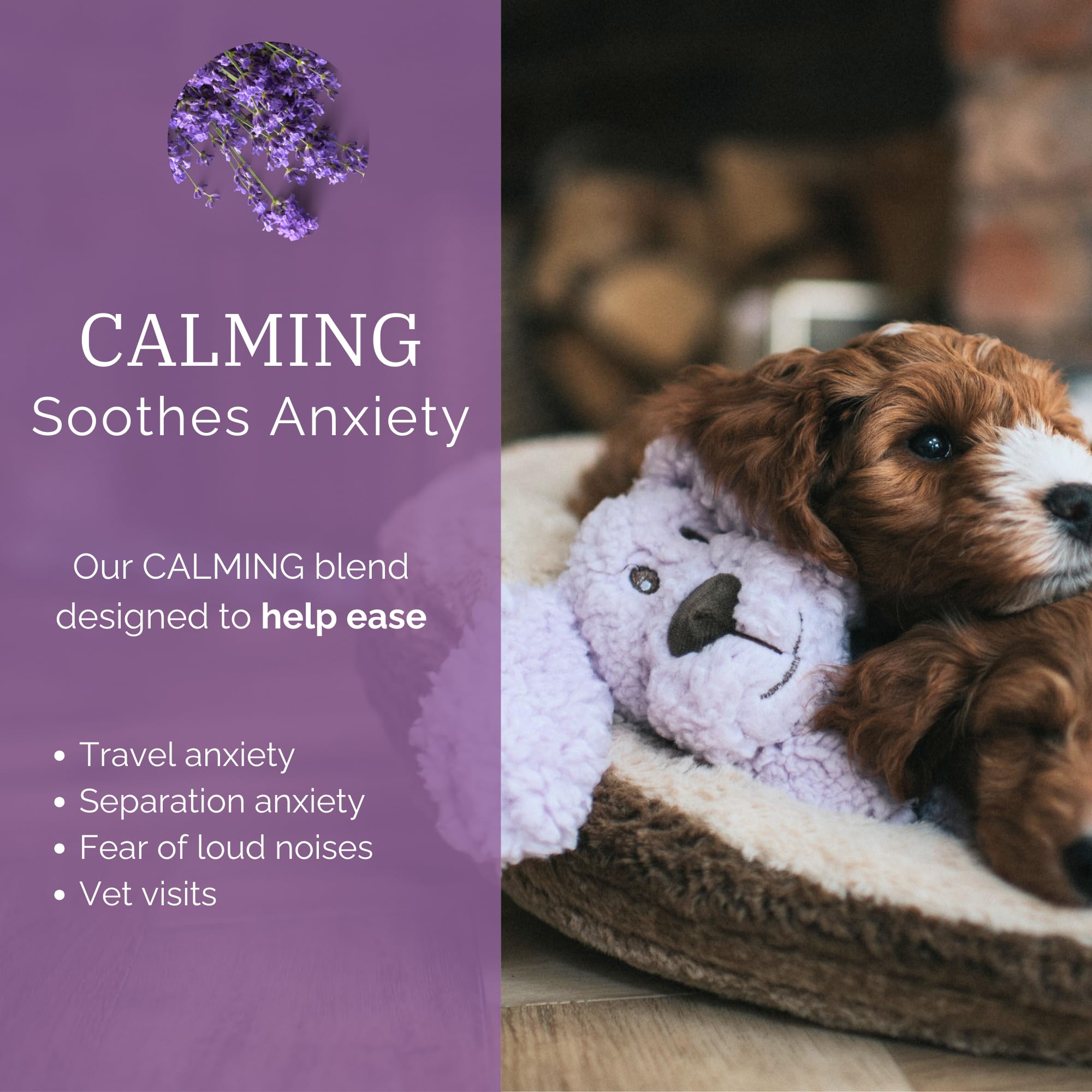 AROMADOG Calm Fleece Laying Down Dog Toy - Lavender Scented, Stuffing-Free, Squeaker | 33cm