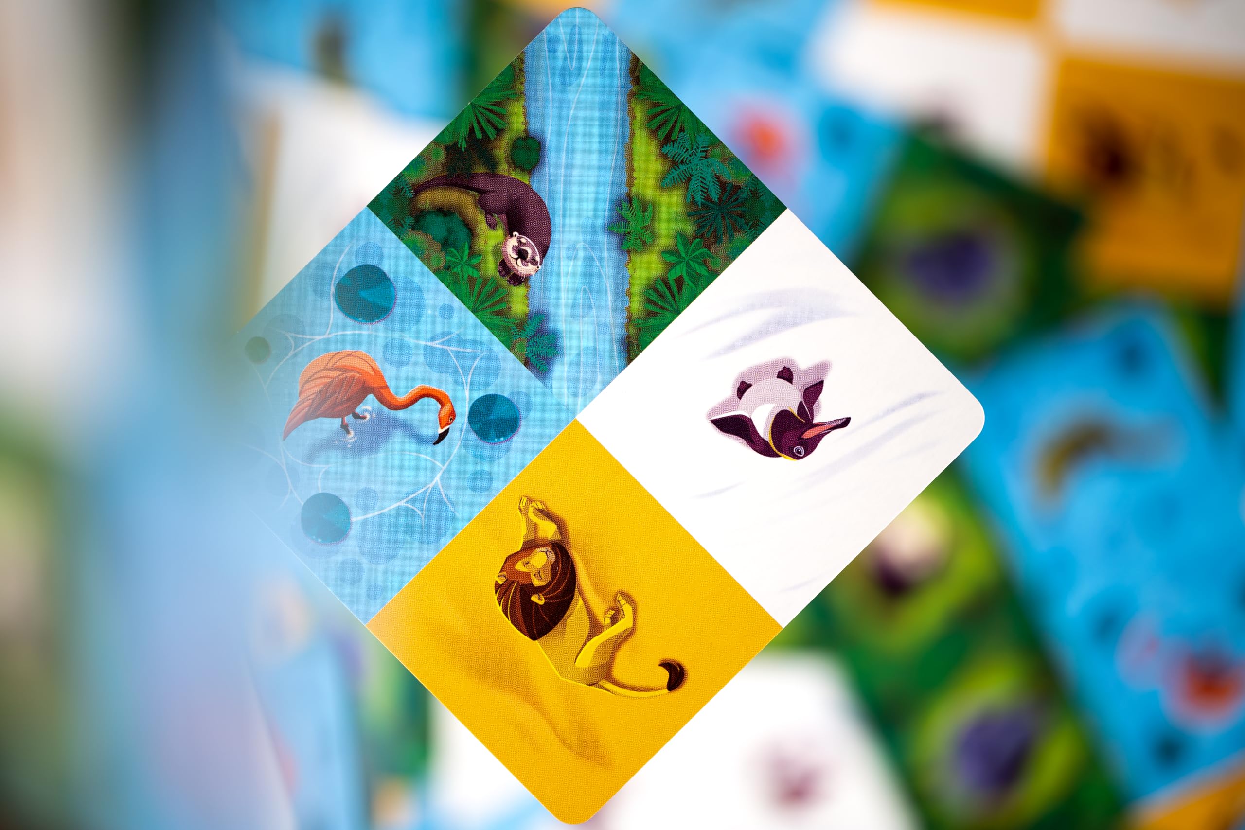 Lucky Duck Games Nimalia Board Game 5