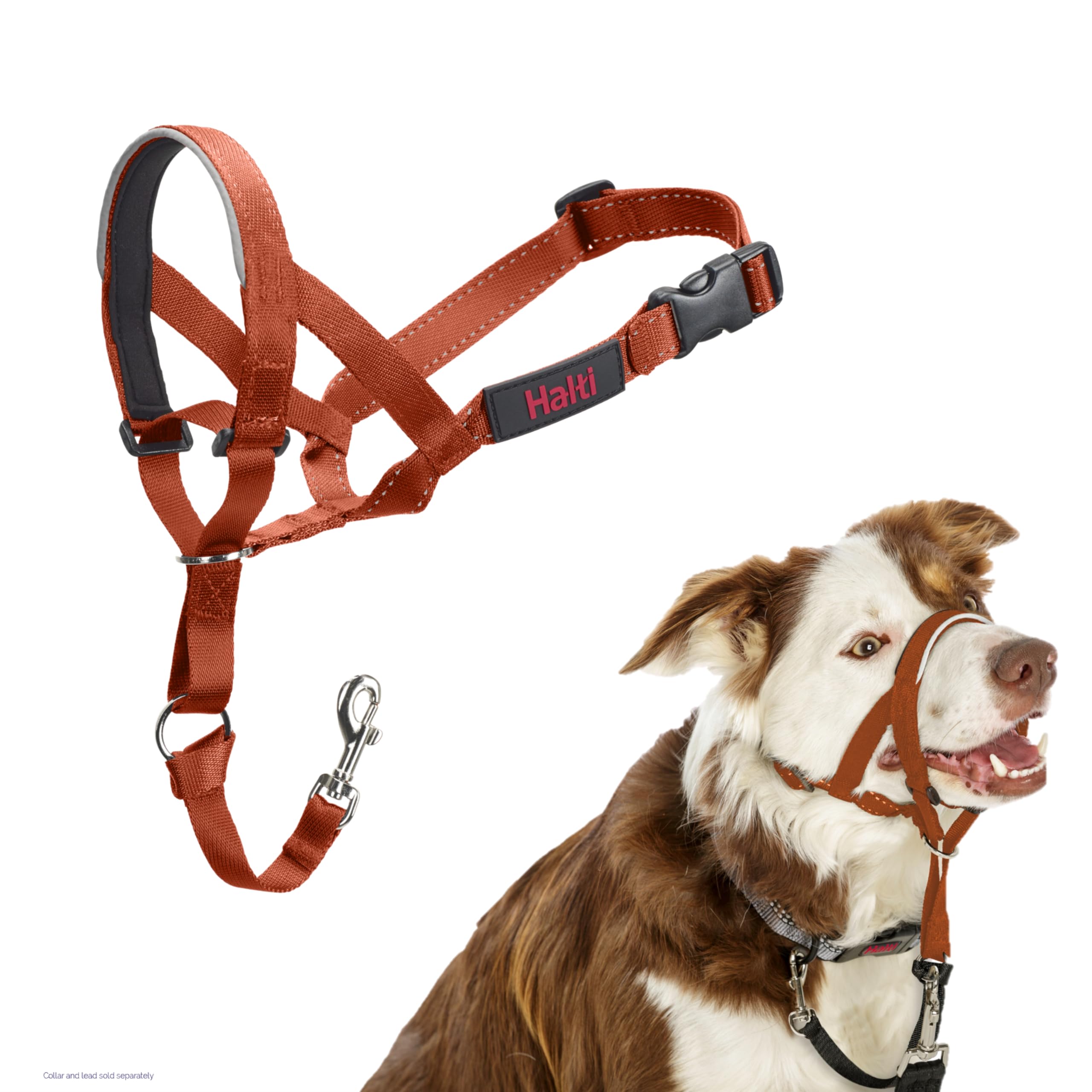 Halti Headcollar - Stops Dog Pulling | Size 2 | Burnt Orange | Reflective