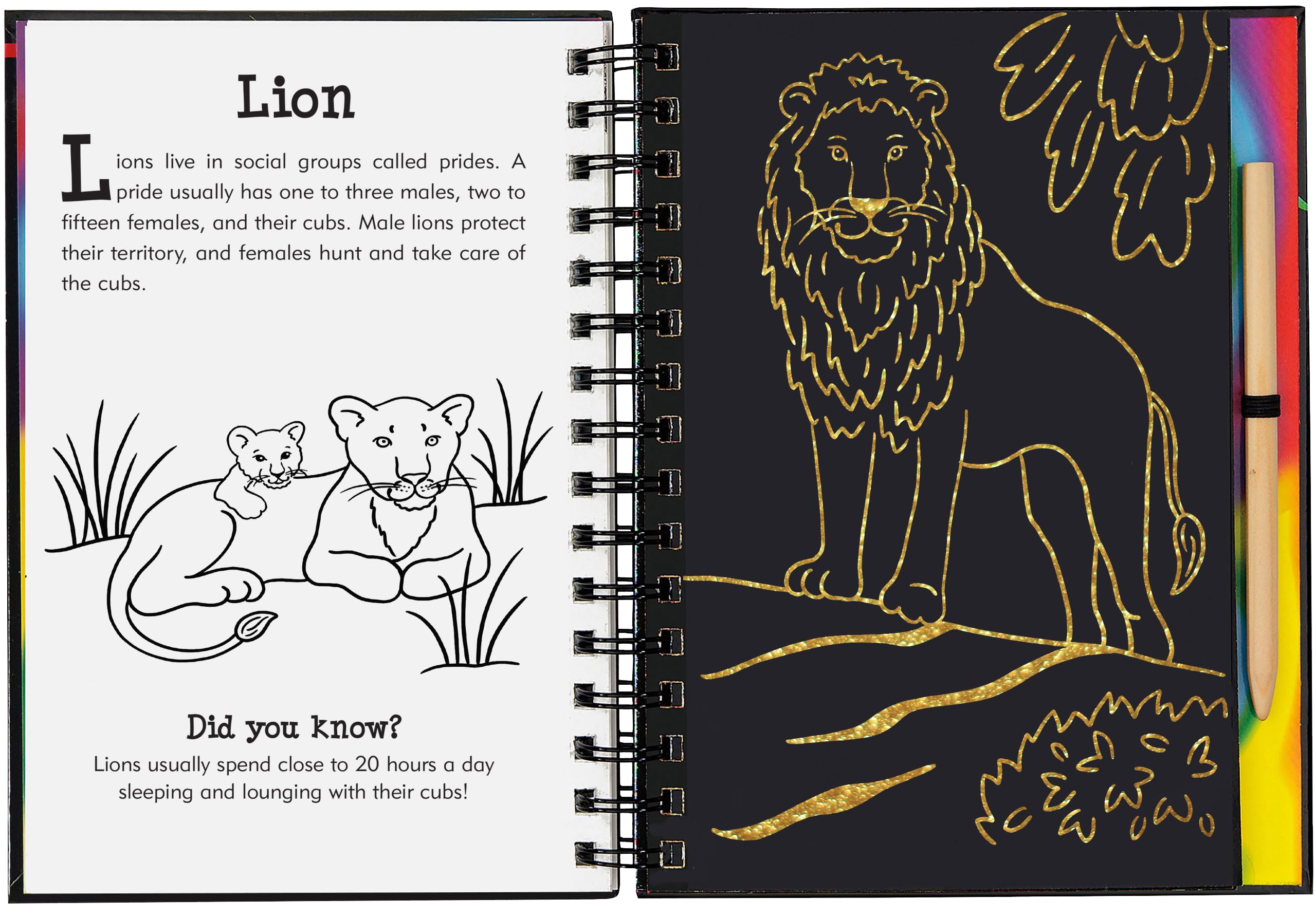 Peter Pauper Press Wild Safari Scratch & Sketch Activity Book - Trace Along, Ages 5-9 2