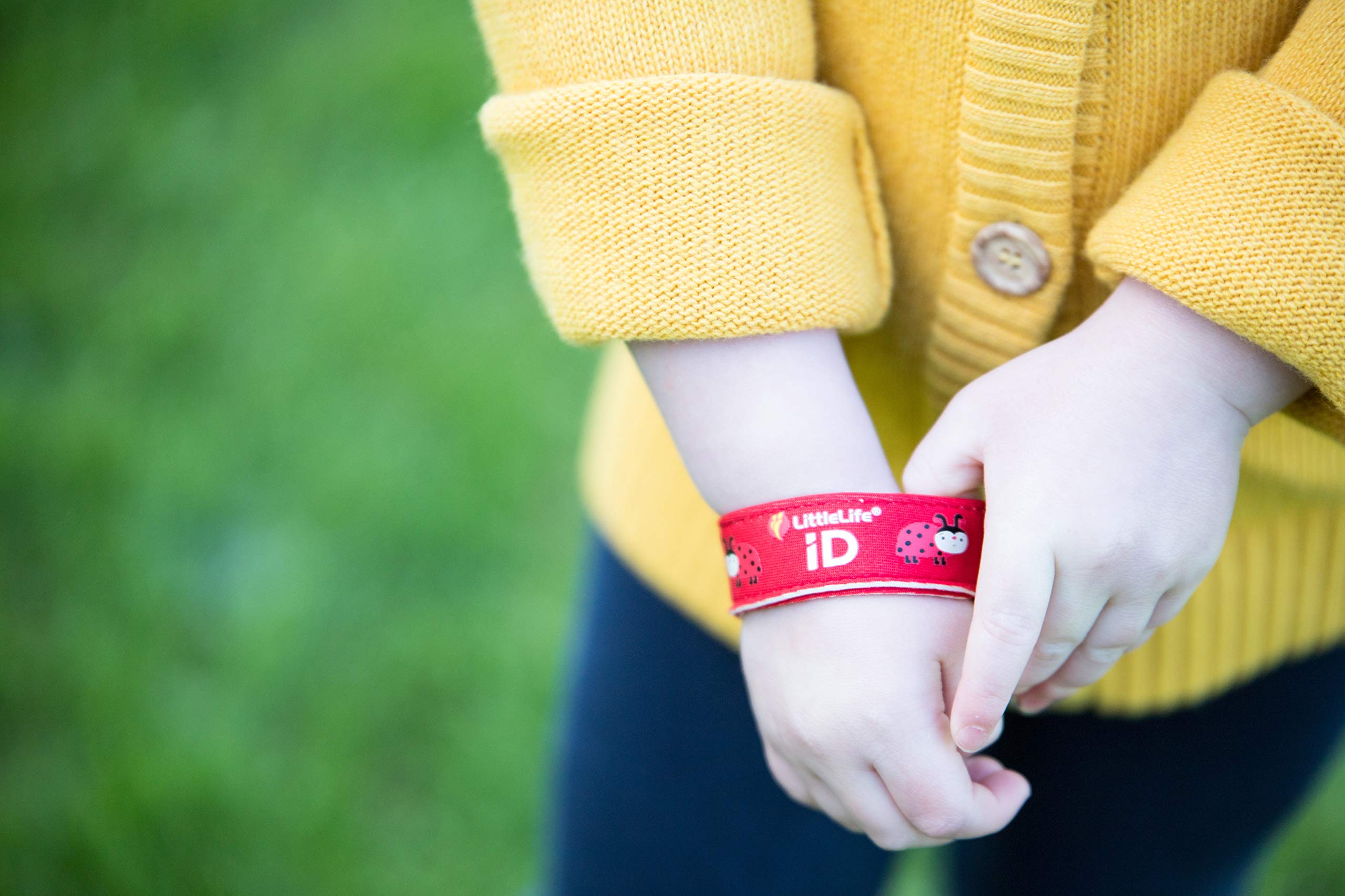 LittleLife Ladybird iD Safety Wristband - Kids Emergency Contact Bracelet | Neoprene | One Size 3