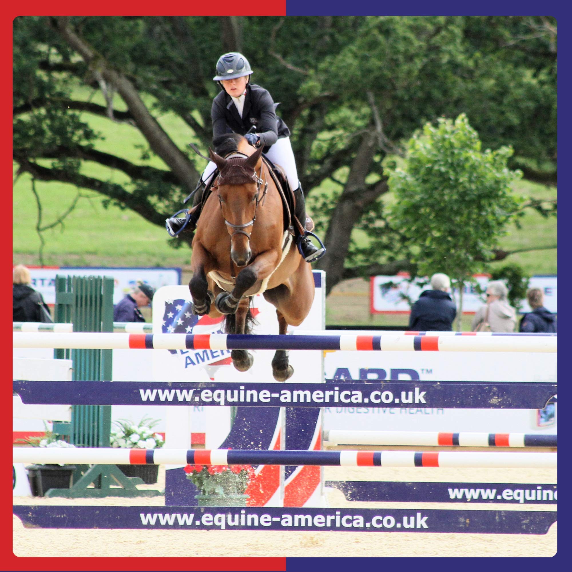 Equine America Airways Xtra Strength Premium Supplement for Horses & Ponies | 500 g 5
