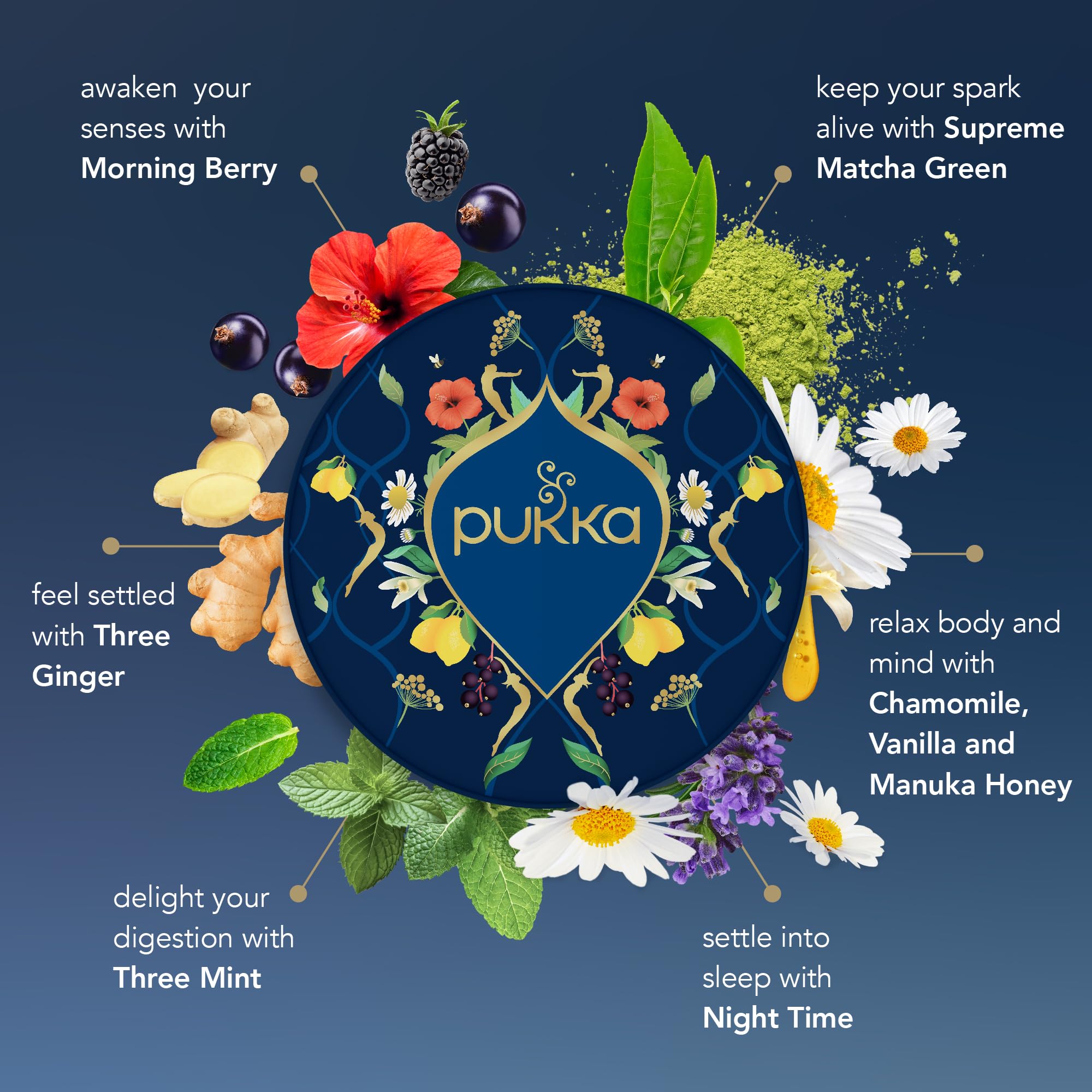 Pukka Herbs Organic Herbal Tea Selection Gift Set Box | 90 Sachets, 6 Blends | Supports Relaxation & Immunity 3