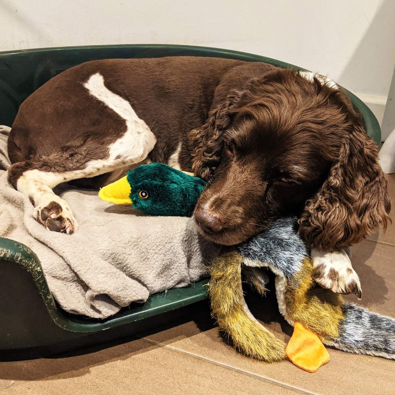 Petface Luxury Multi Squeak Duck Plush Dog Toy - Polyester | Medium Dog Size | Pack of 1 5