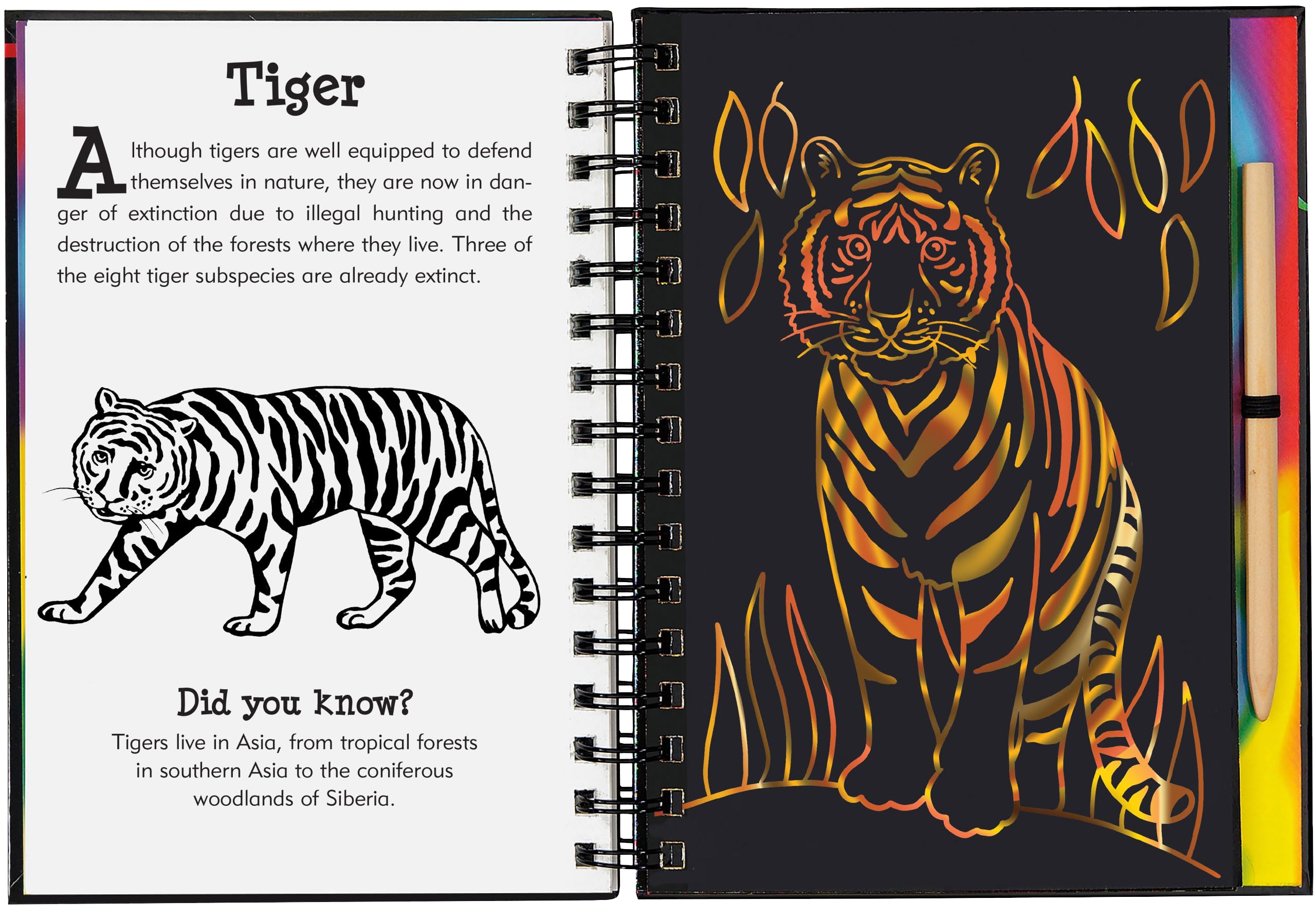 Peter Pauper Press Wild Safari Scratch & Sketch Activity Book - Trace Along, Ages 5-9 3