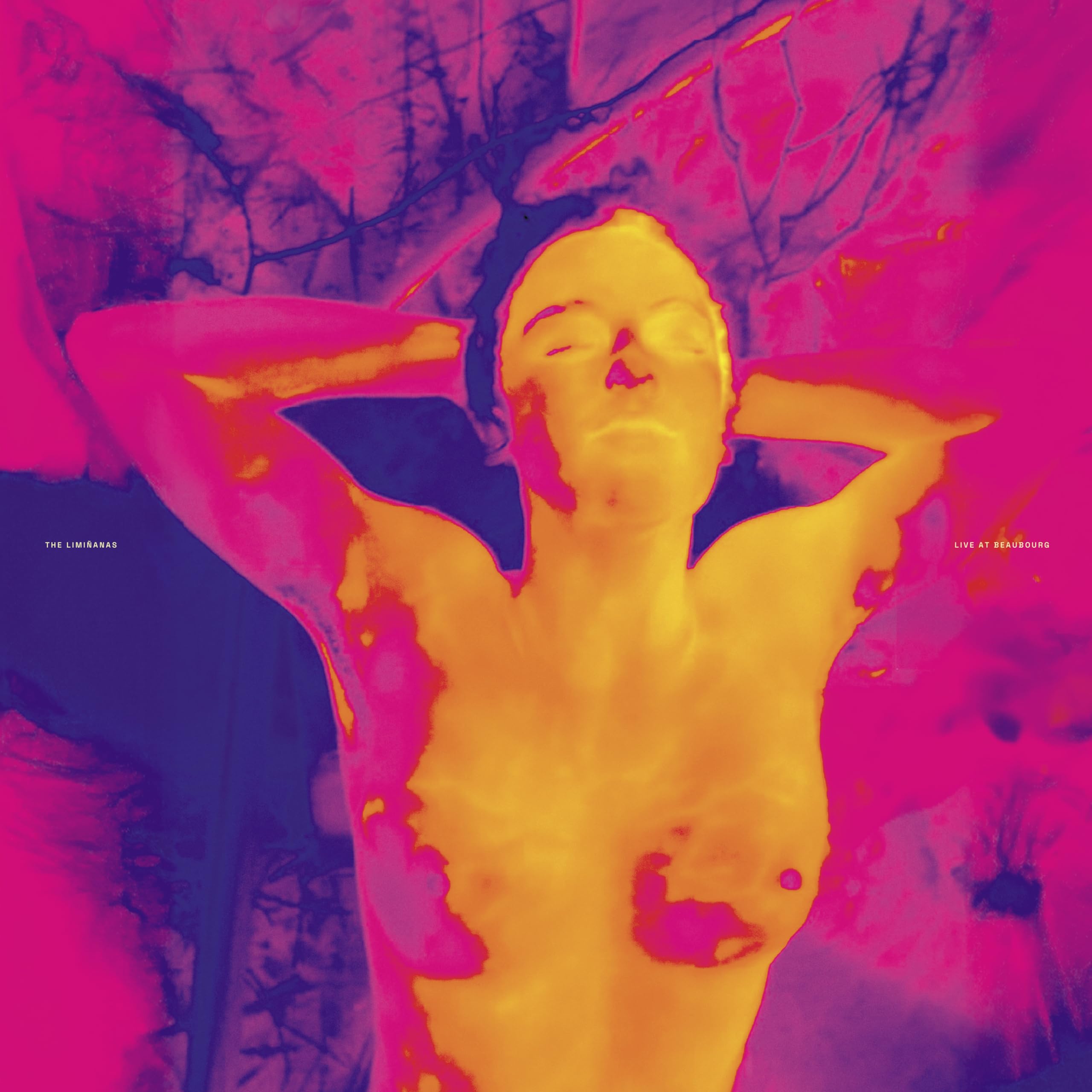 The Limiñanas - Live at Beaubourg [2LP Vinyl] 1