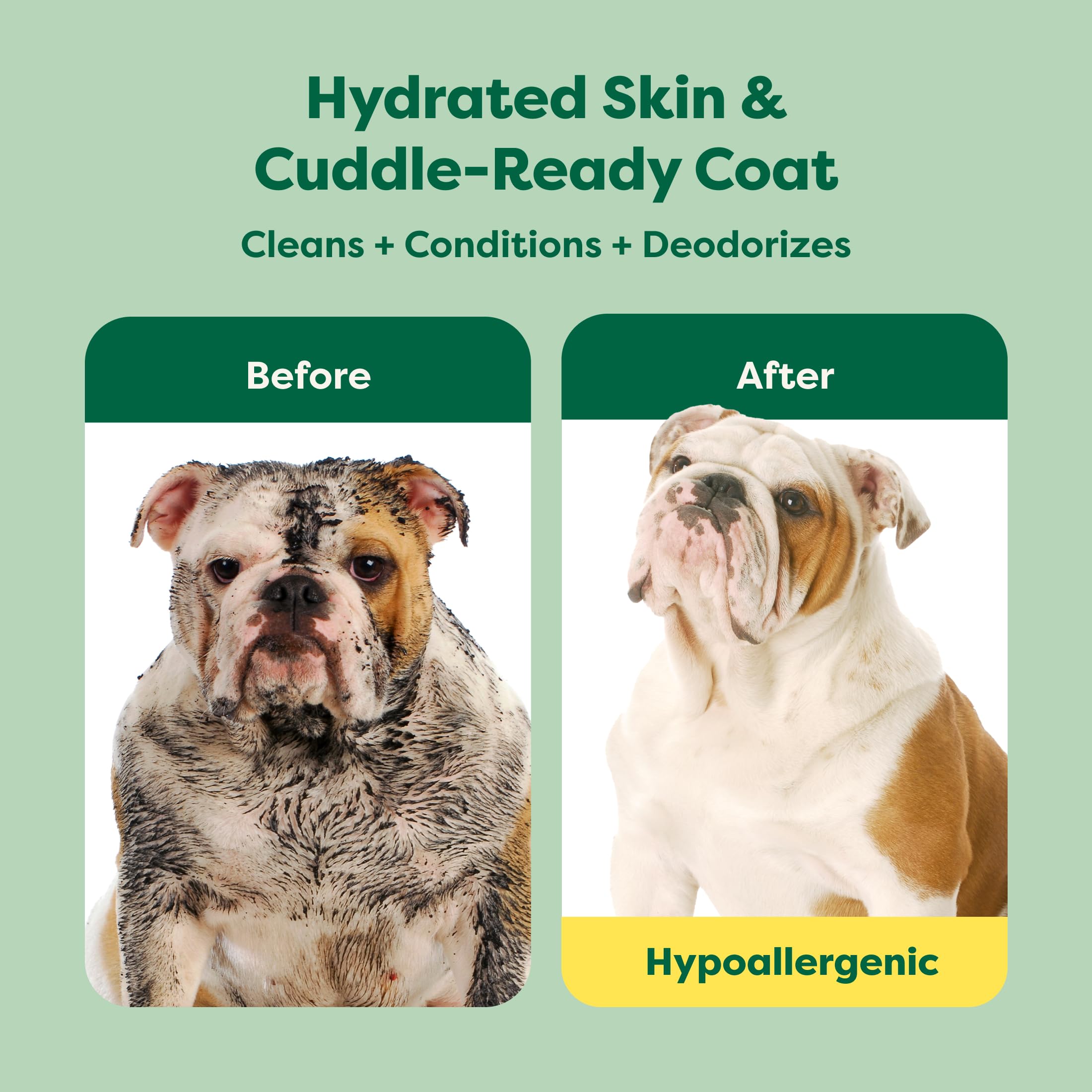 Earth Rated 3-in-1 Soothing Dog Shampoo and Conditioner with Oatmeal | White Tea & Basil Scent | 473ml
