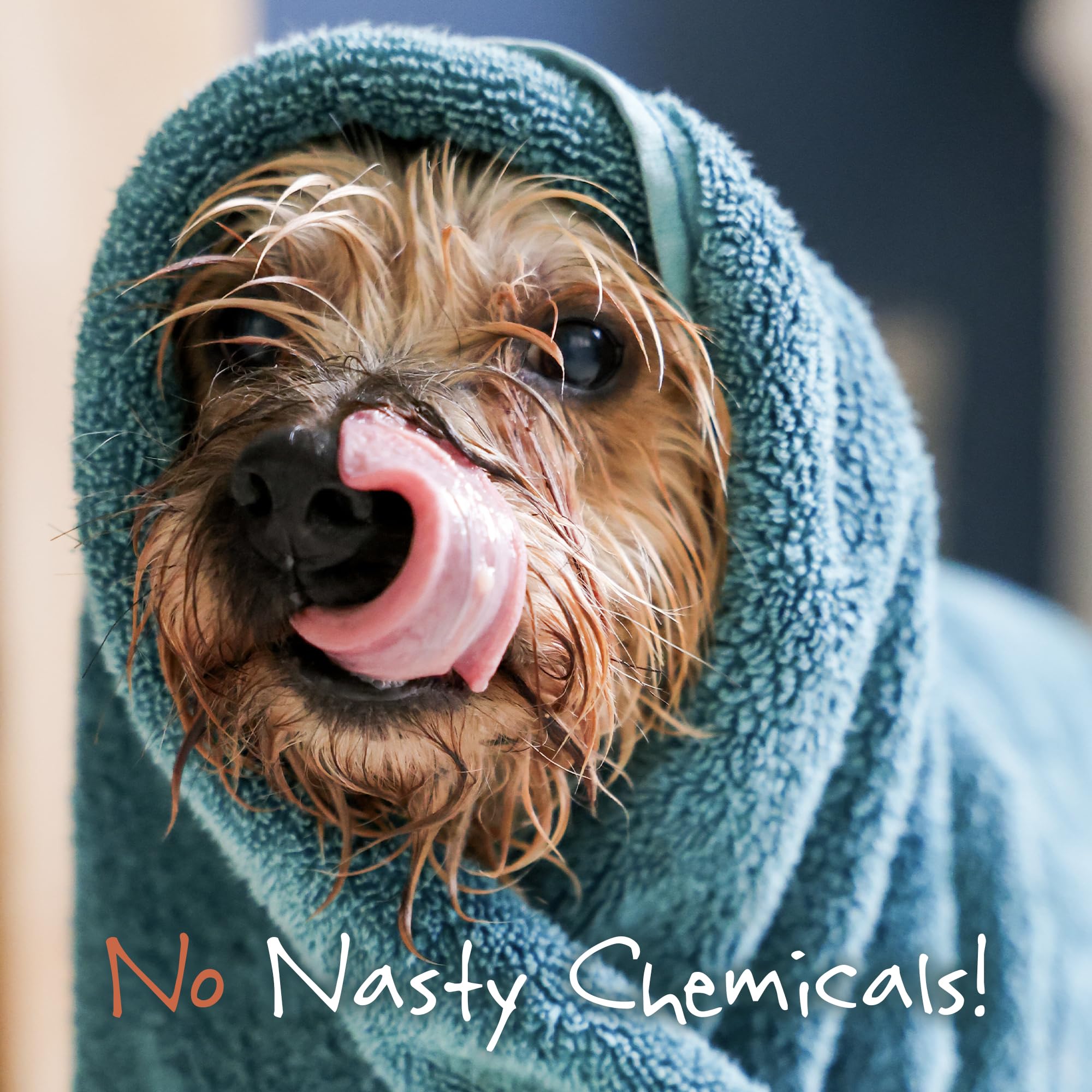 LITTLE BEAST Scruffy Dog Shampoo Bar - Detangles & Deeply Conditions | Citrus Scent | 100g 5