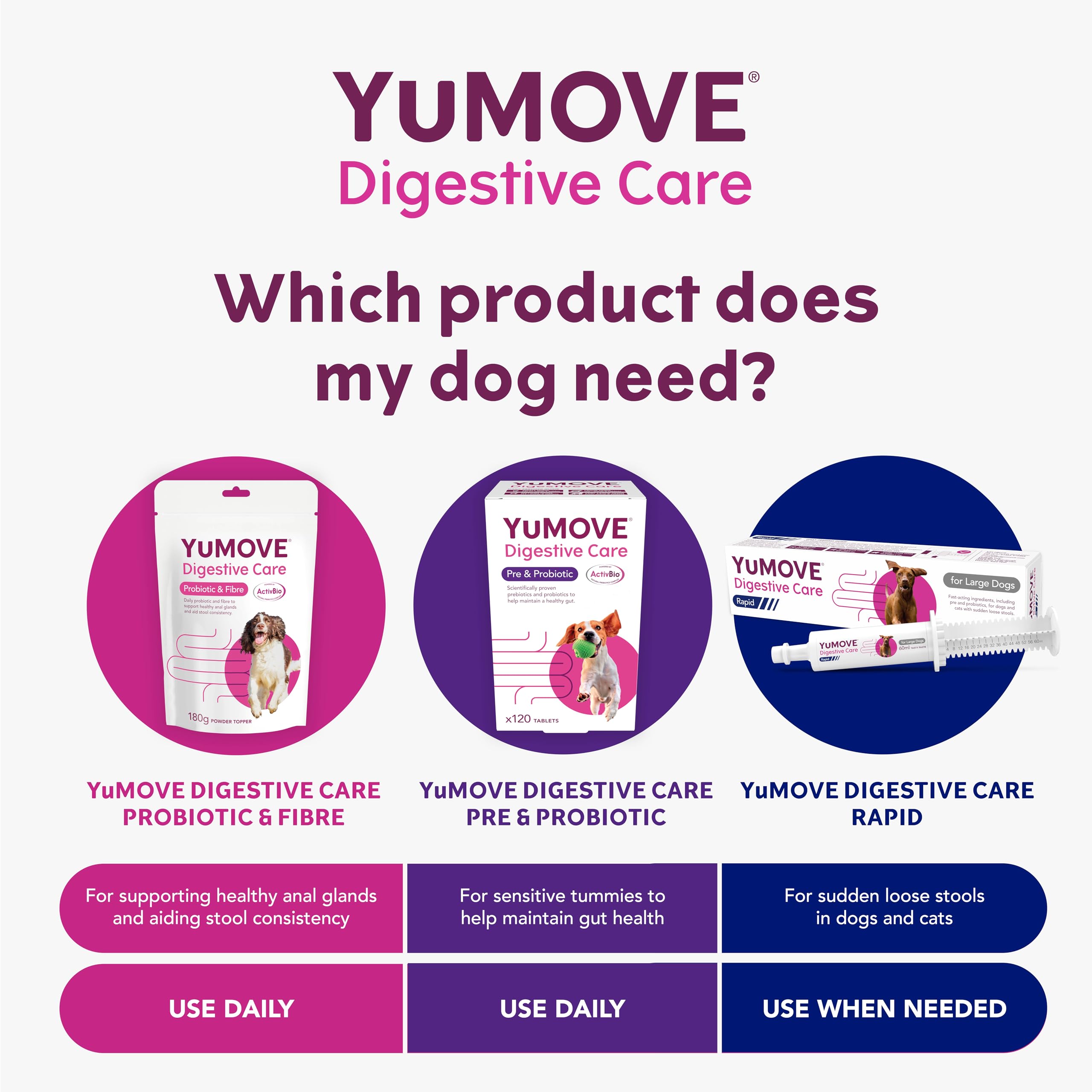 YuMOVE Digestive Care Rapid Probiotic Paste for Dogs - Fast-Acting Stool Firming Aid | 60ml 5