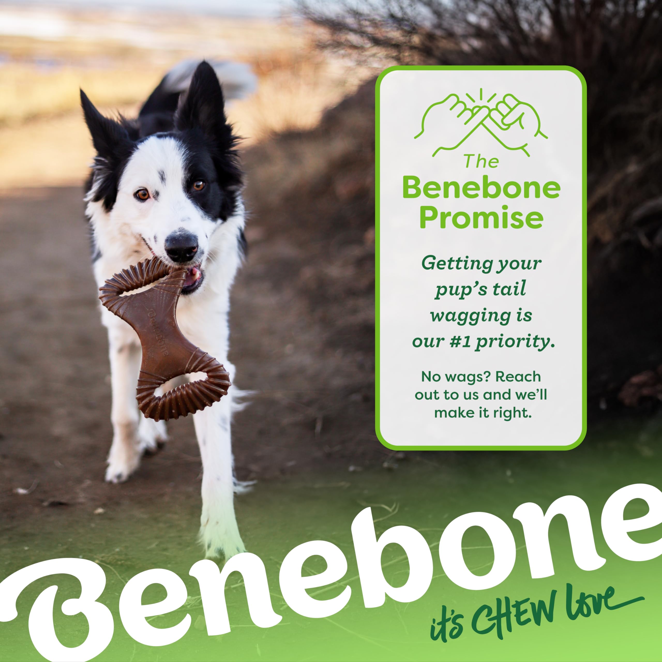 Benebone Indestructible Dental Dog Chew Toy - Real Bacon Flavor | Medium Dogs | Heavy Duty 6