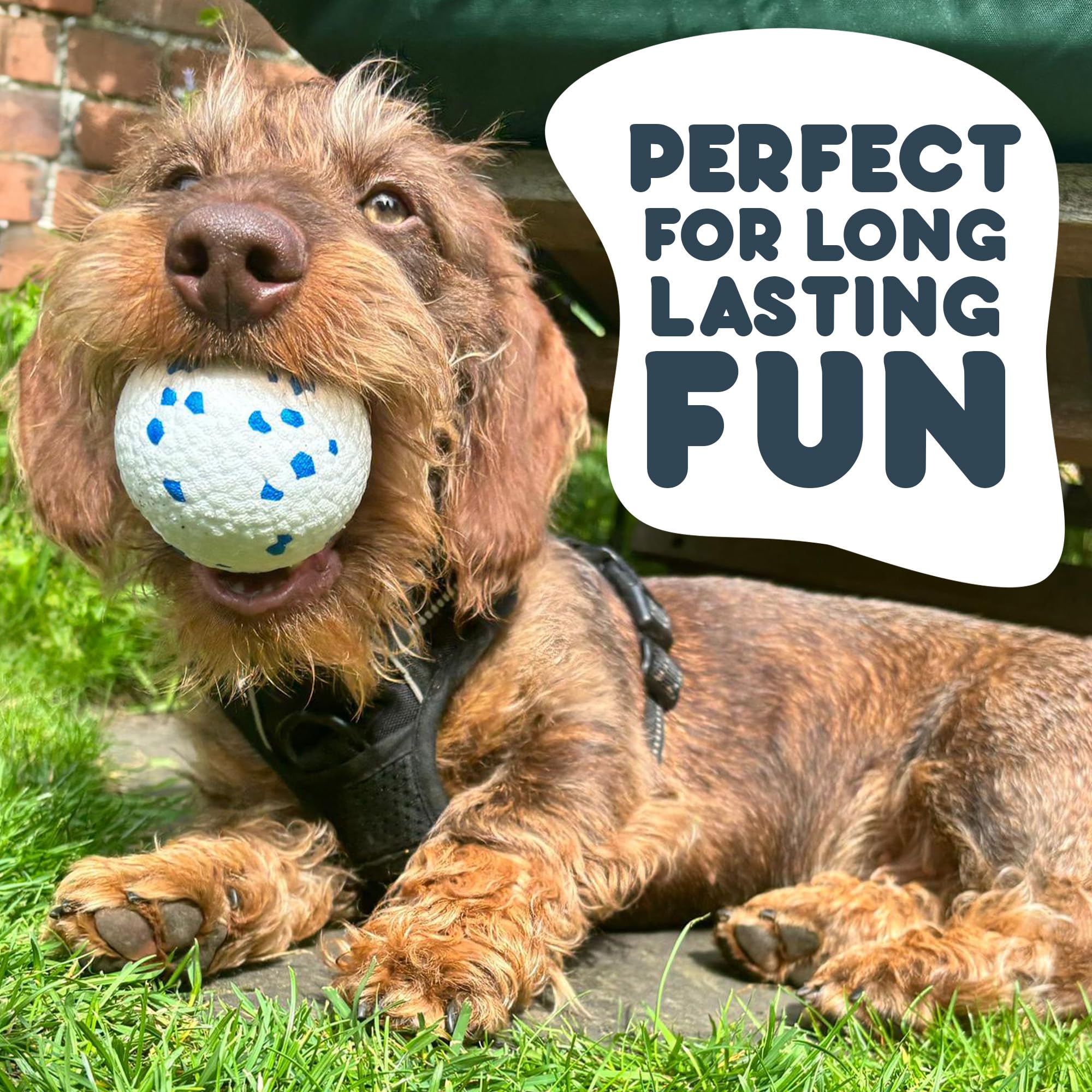 Petface Outdoor Paws Mighty Ball Dog Toy - Extra Strong, Large, Float | ETPU 4