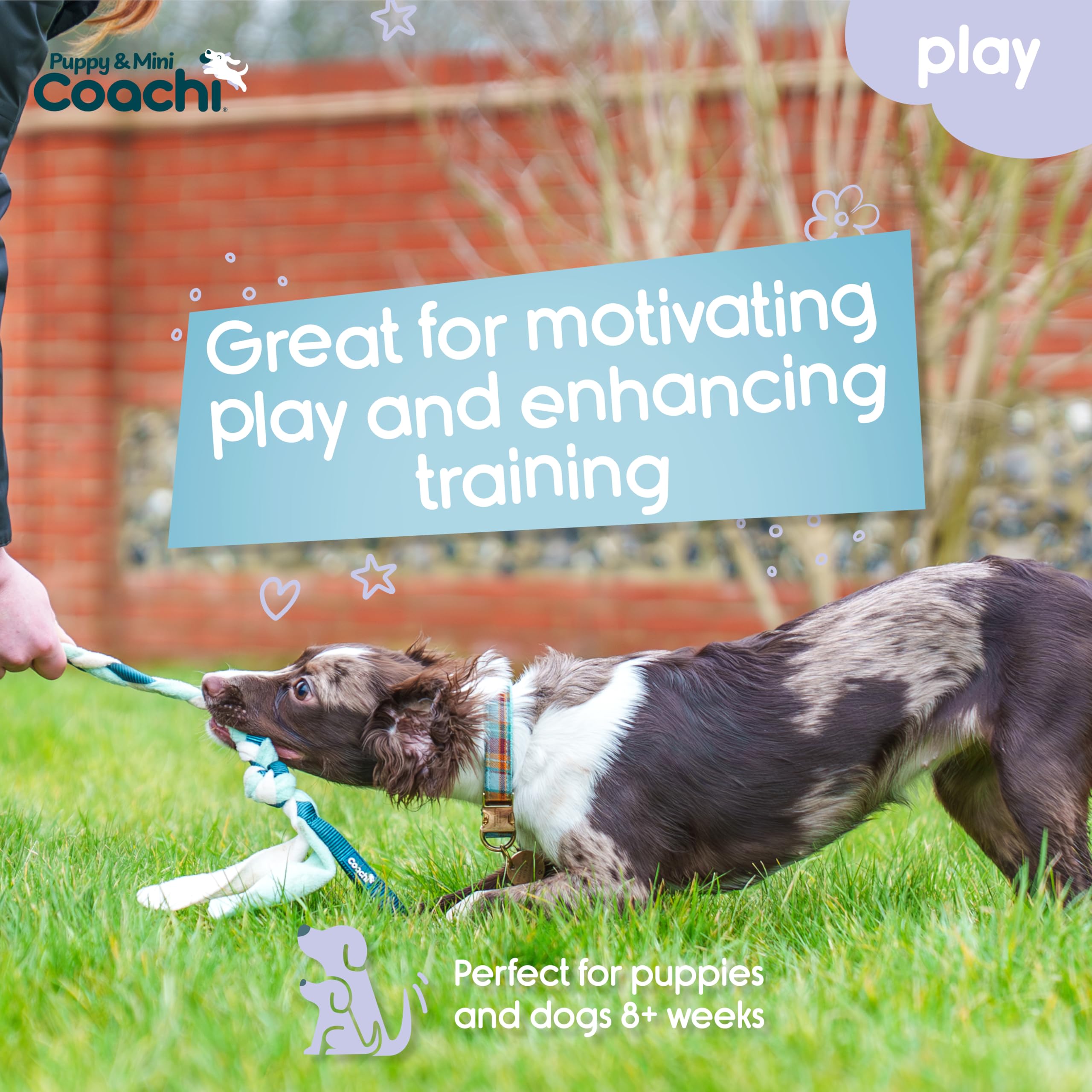 Coachi Puppy & Mini Tuggi Tug - Strong Fabric Tug Toy for Training & Play | Teal & Mint