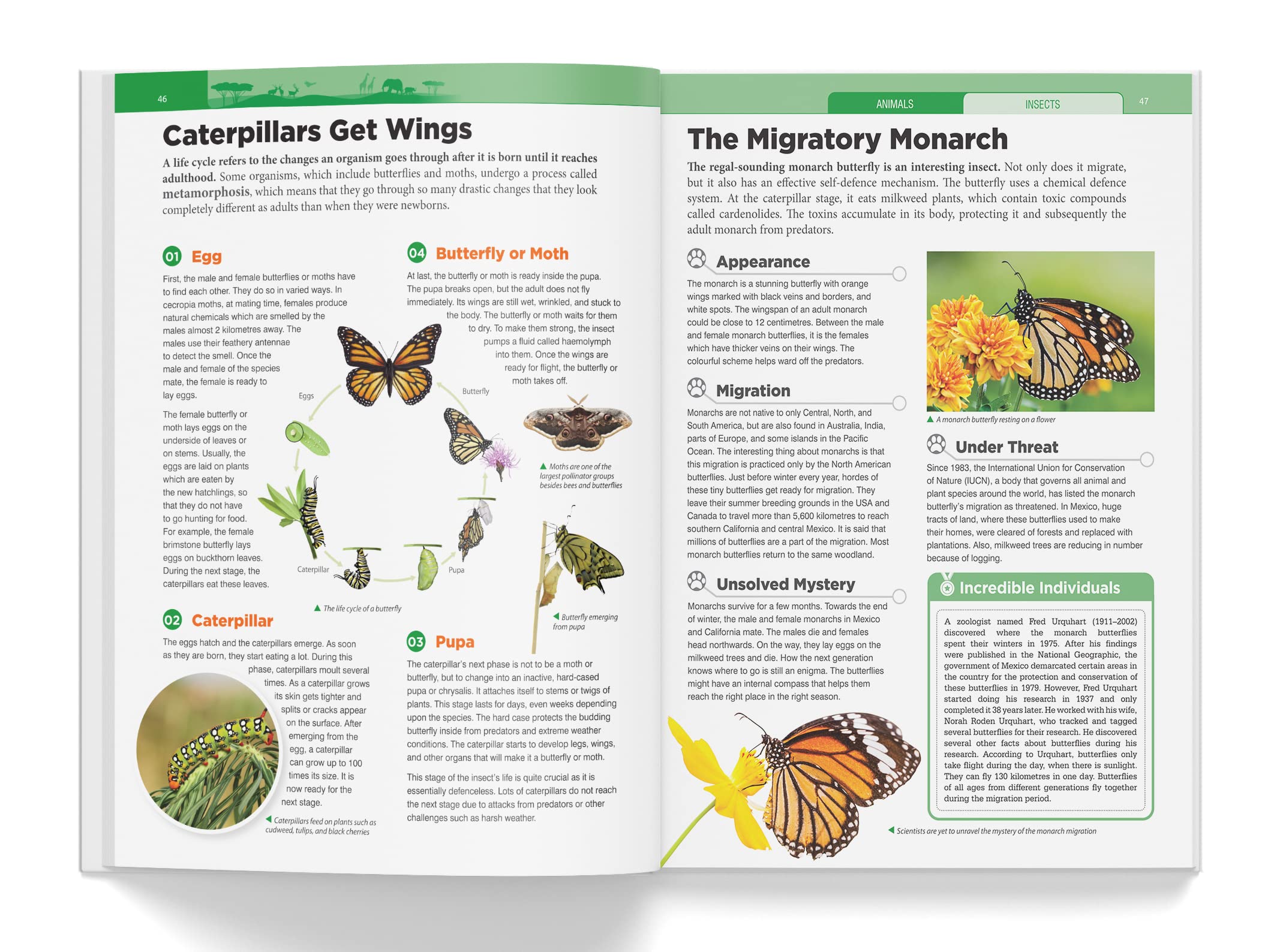 Wonder House Knowledge Encyclopedia - Animals for Children | Hardcover | English 5