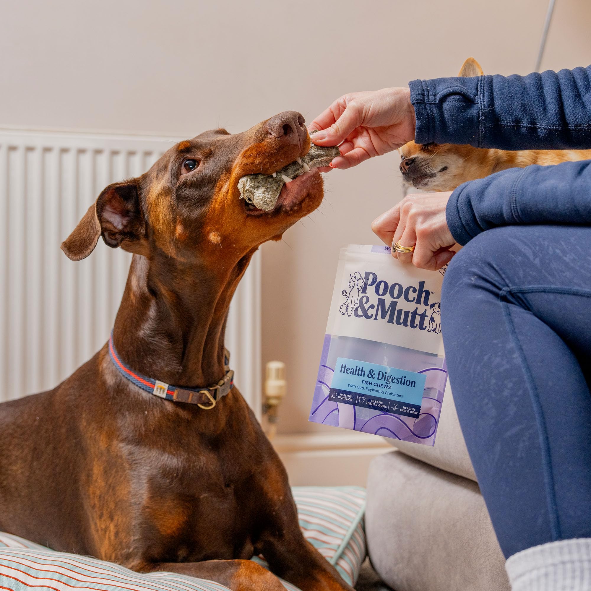 Pooch & Mutt Digestive Support Fish Chews - Long Lasting Cod Skin Sticks for Adult Dogs | 90g Pouch