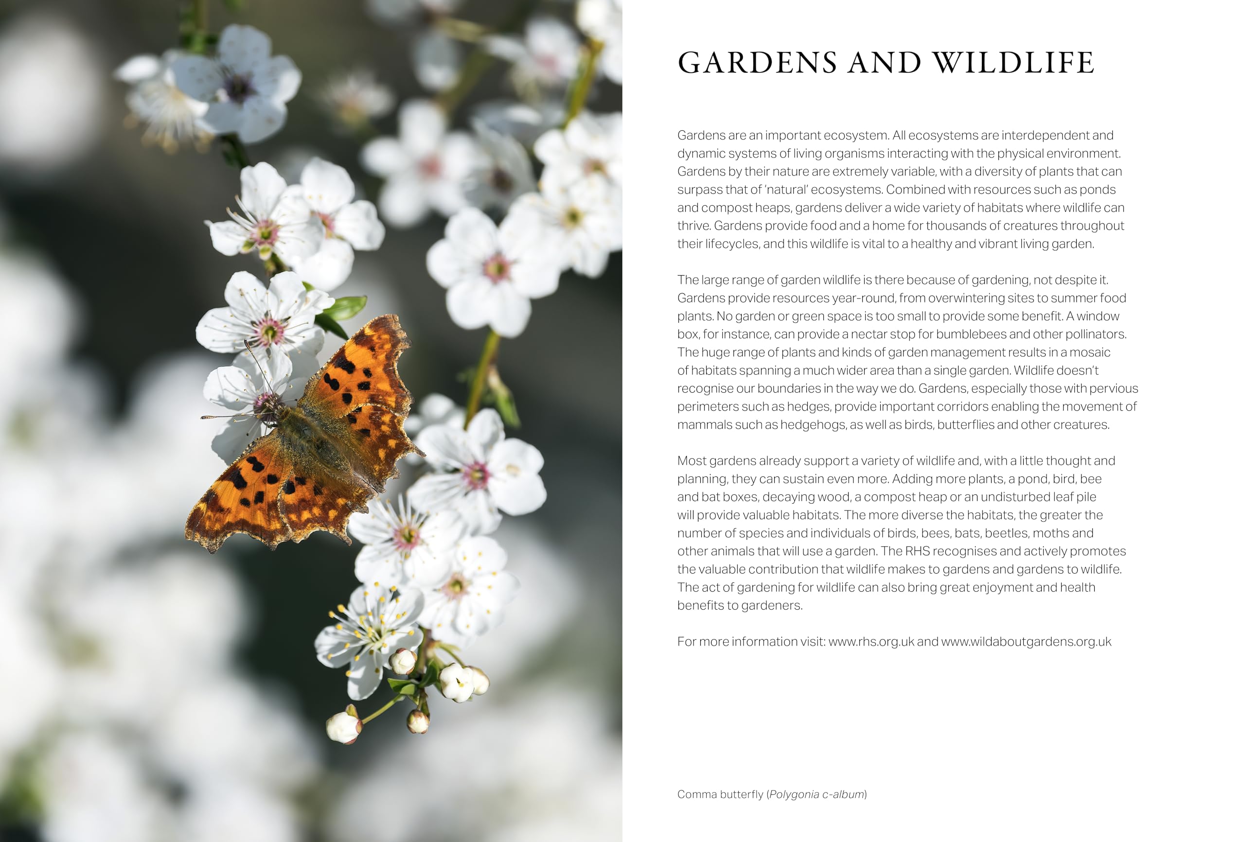 Frances Lincoln RHS Wild in the Garden Diary 2027 - Wildlife Gardening Companion | Week-to-View 2