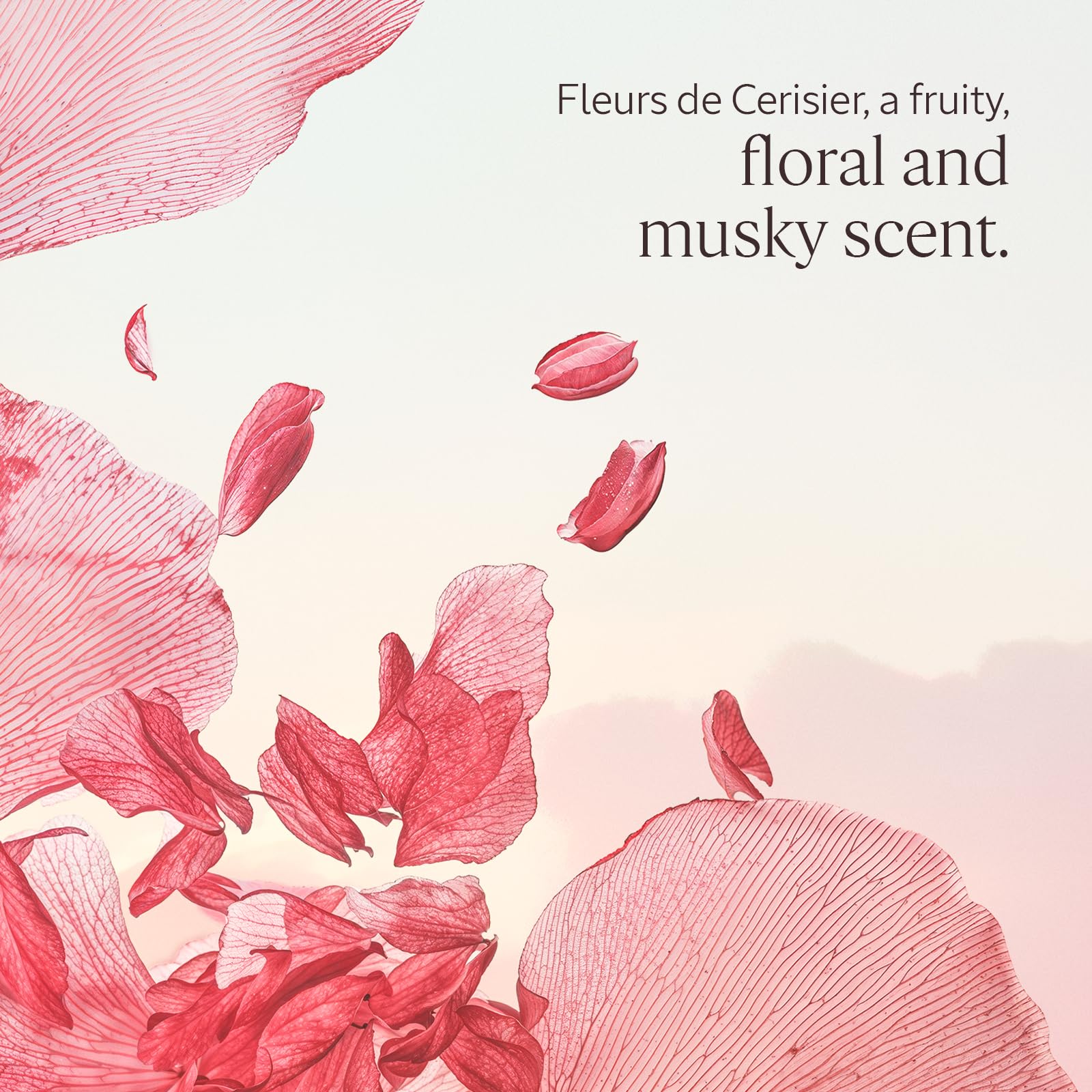 L'OCCITANE Cherry Blossom Shower Gel - Gentle Cleansing, Floral Scent, 500ml 2
