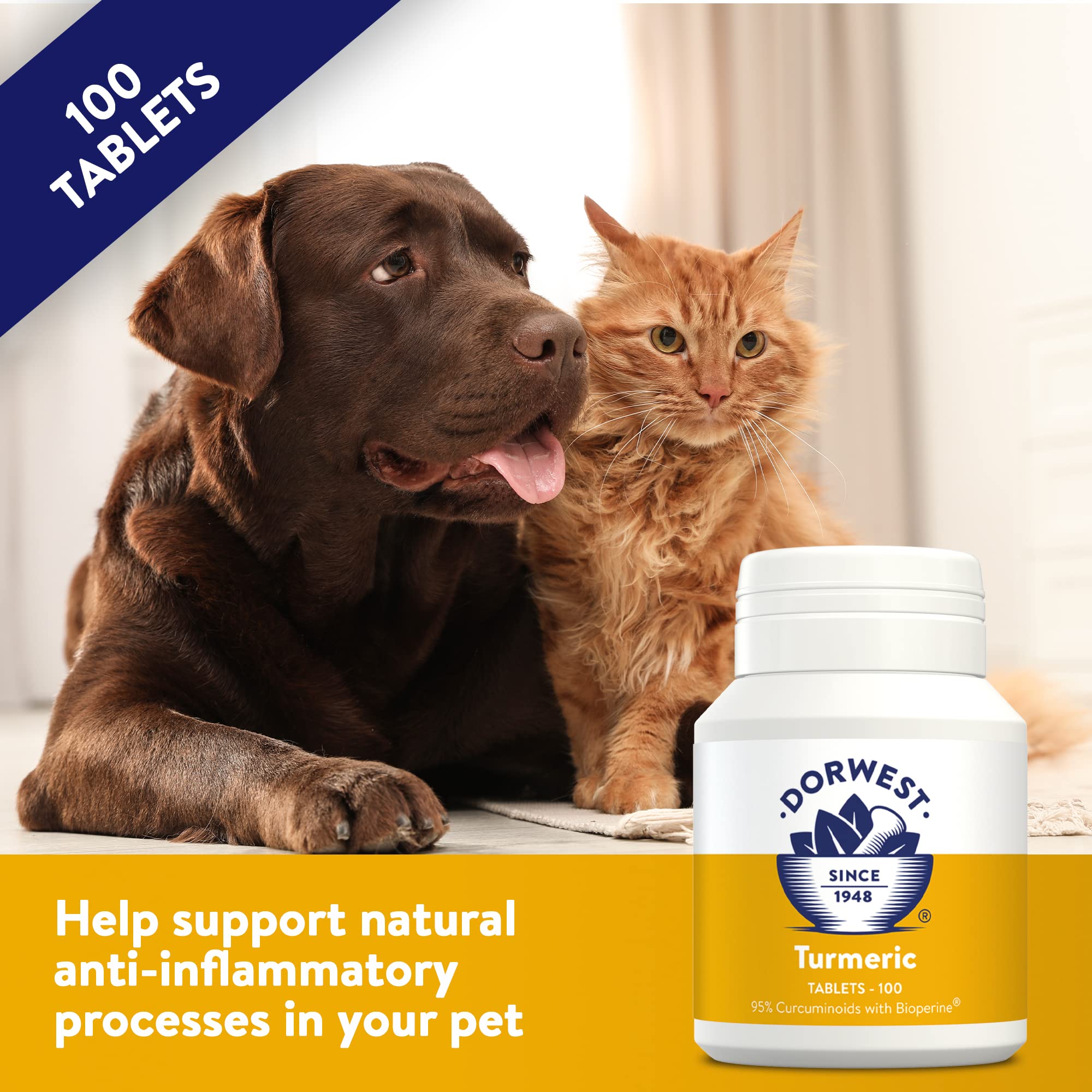 DORWEST HERBS Turmeric Tablets for Dogs and Cats - Joint Support with 95% Curcuminoids | 100 Tablets