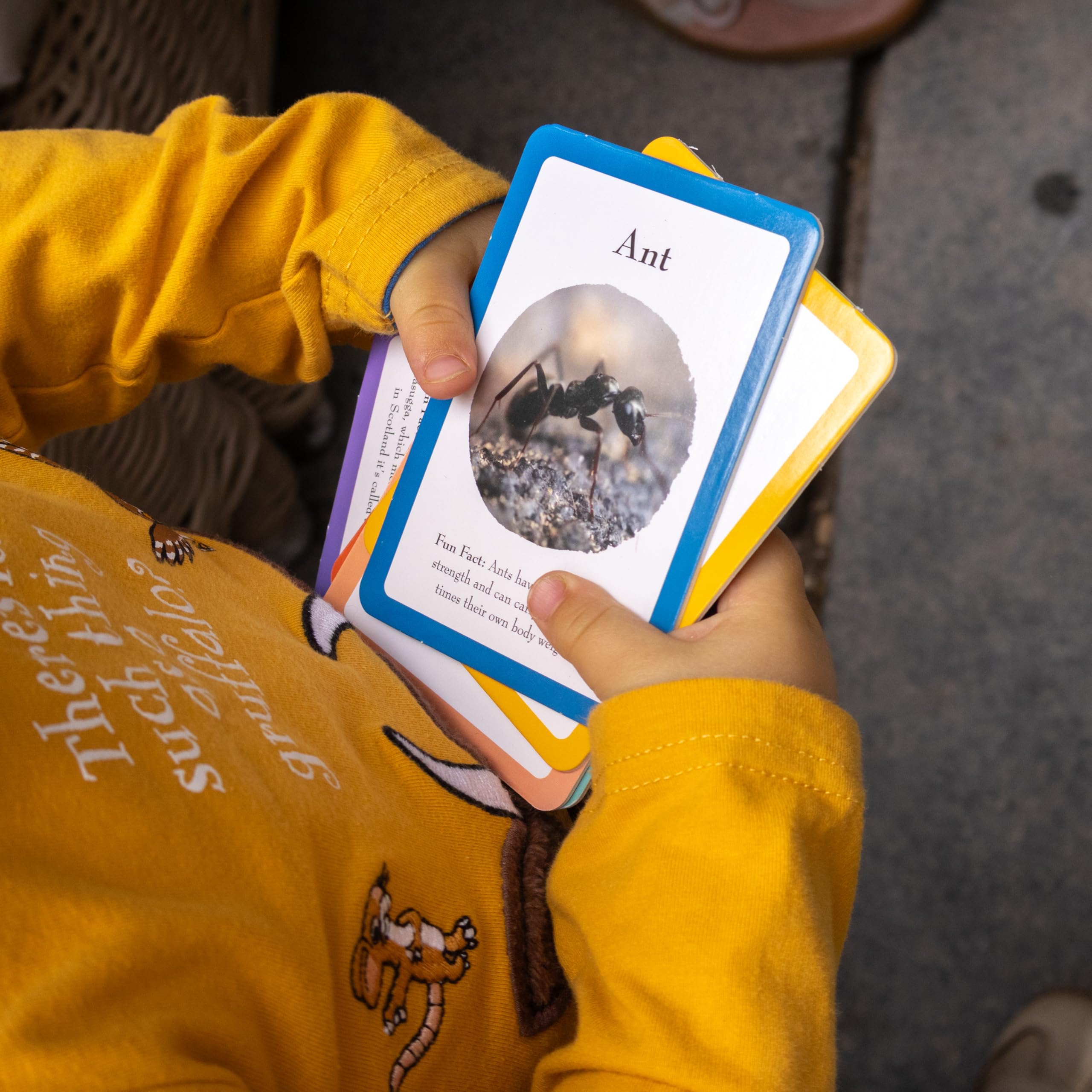 The Gruffalo Bug Spotter Activity Set - Nature Exploration for Kids 4