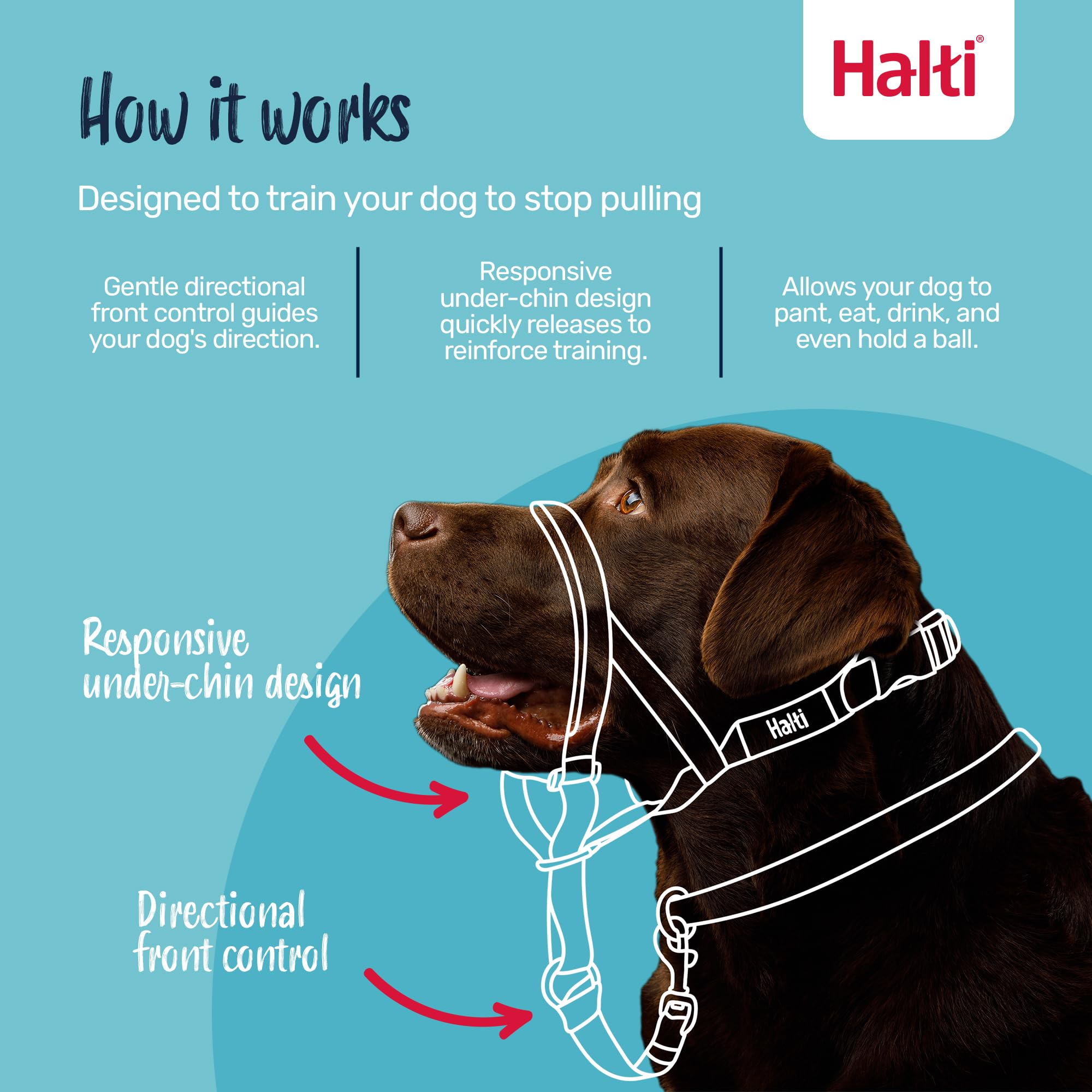 Halti Headcollar for Dogs - Stops Pulling | Size 3, Pink 2