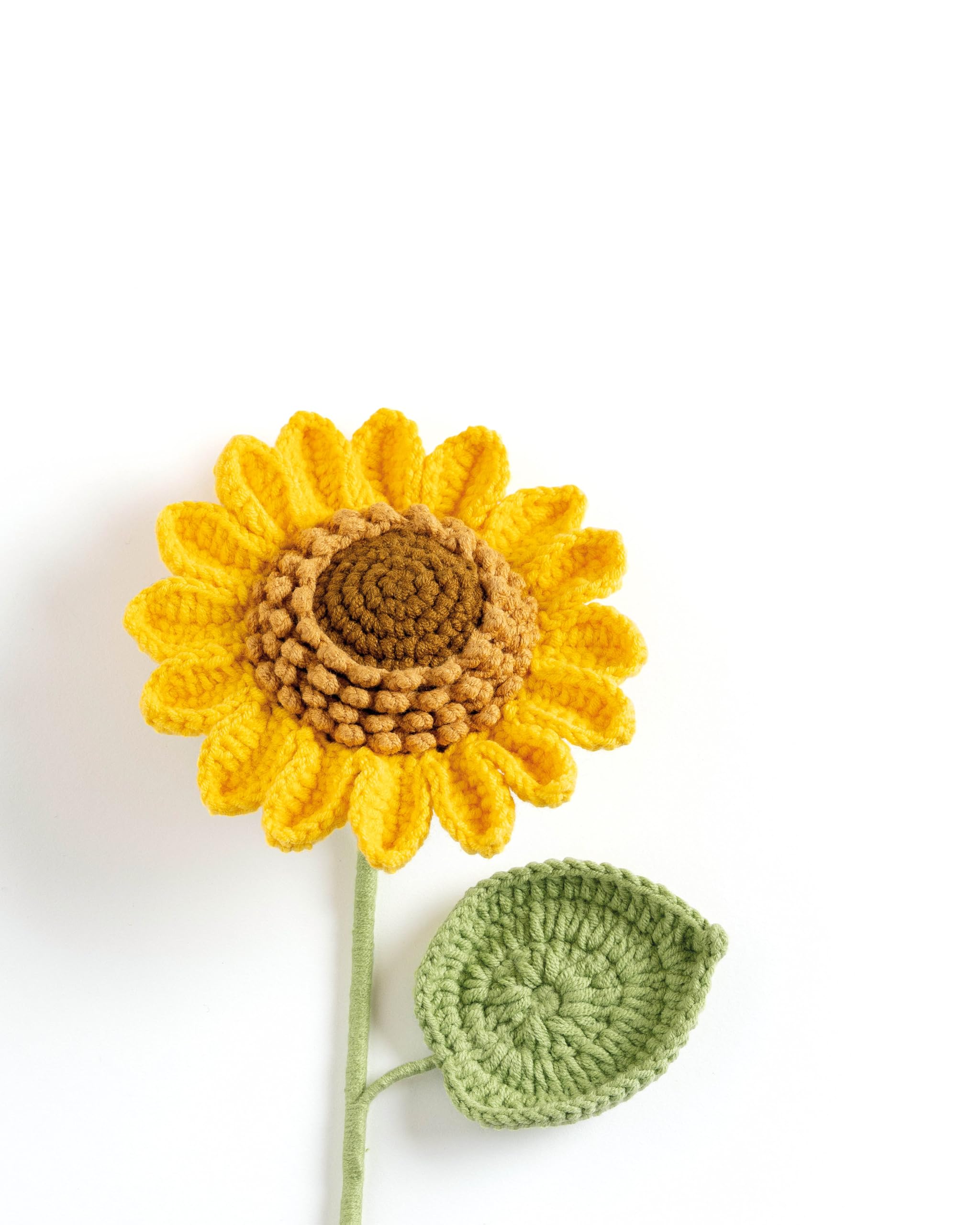 David & Charles Crochet A Flower Bouquet: 35 Handmade Flower & Foliage Patterns 4