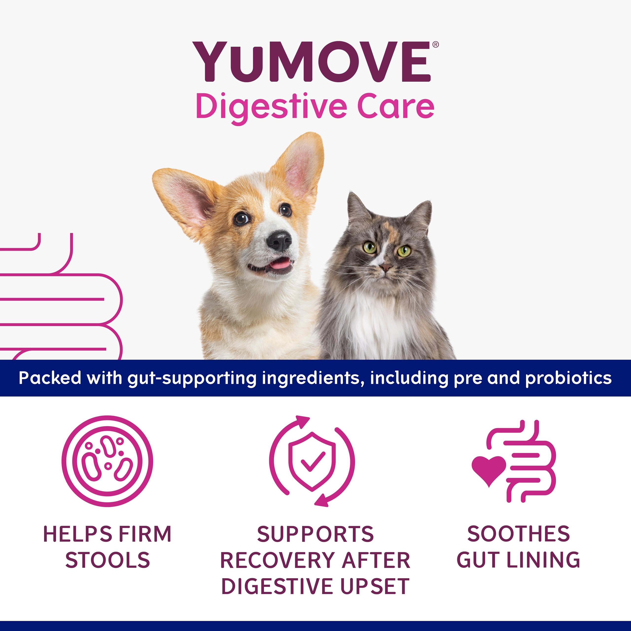 YuMOVE Digestive Care Rapid Paste for Cats & Dogs - Fast-Acting Pre & Probiotic for Loose Stools | 15ml 3