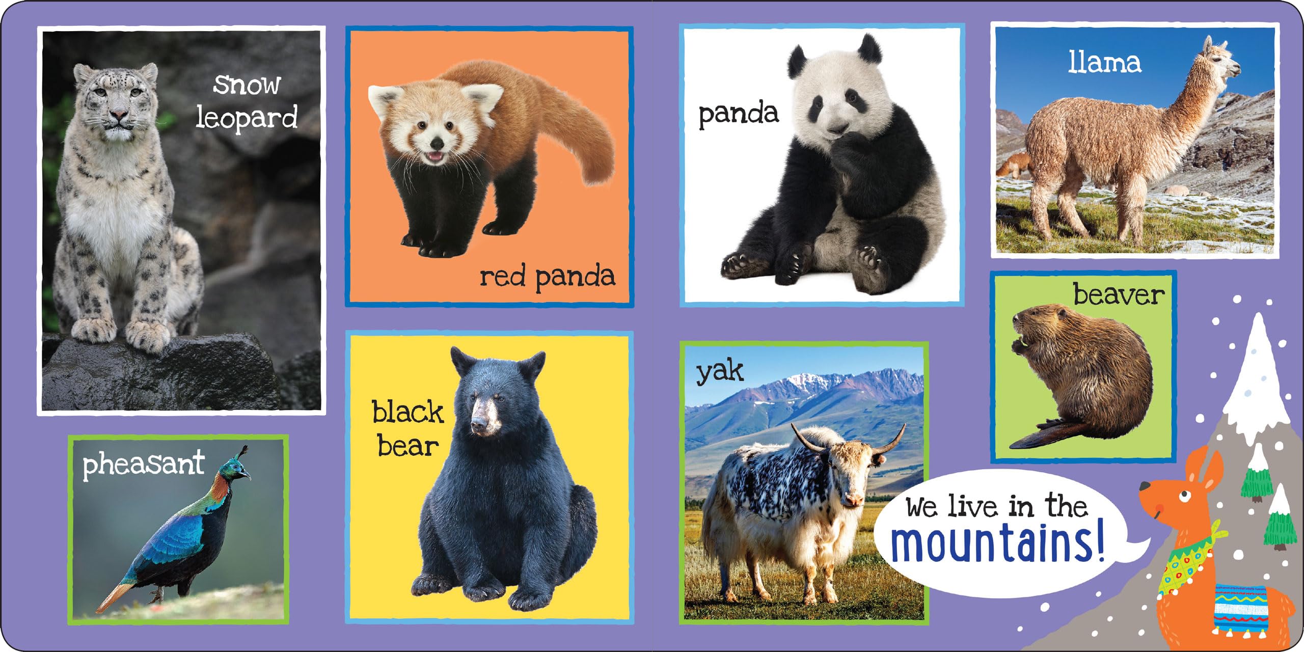 Peter Pauper Press My First 101 Animals Board Book - Ages 0-2 | 24 Pages | English 6