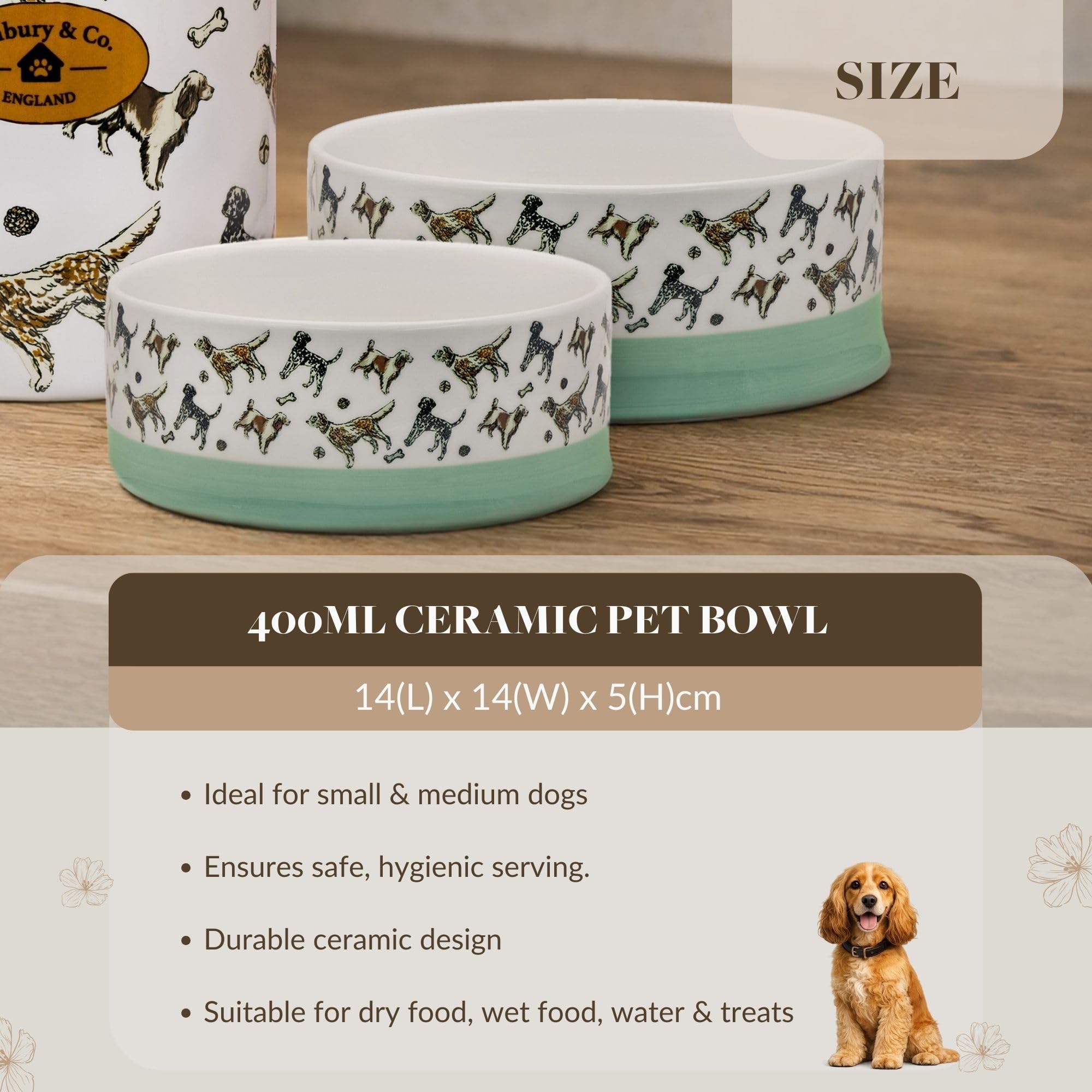 Banbury & Co Ceramic Dog Bowl - 750ml Capacity, Dishwasher Safe, Tip-Resistant 3
