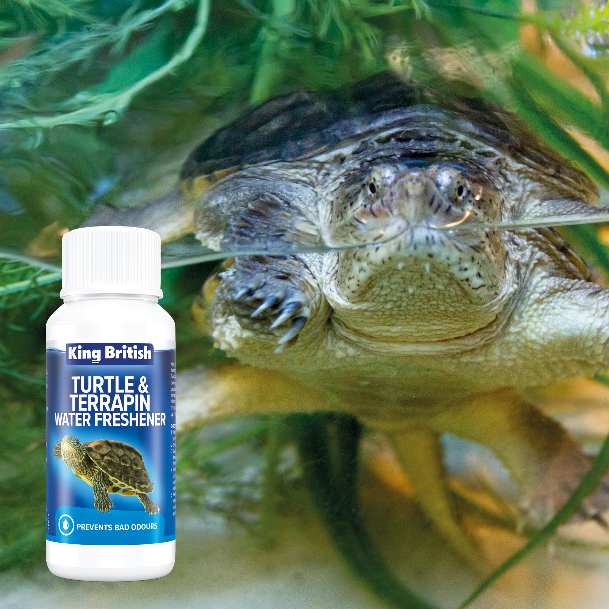 King British Turtle & Terrapin Water Freshener - 100ml Liquid for Cleaner Water | Ammonia & Nitrite Removal