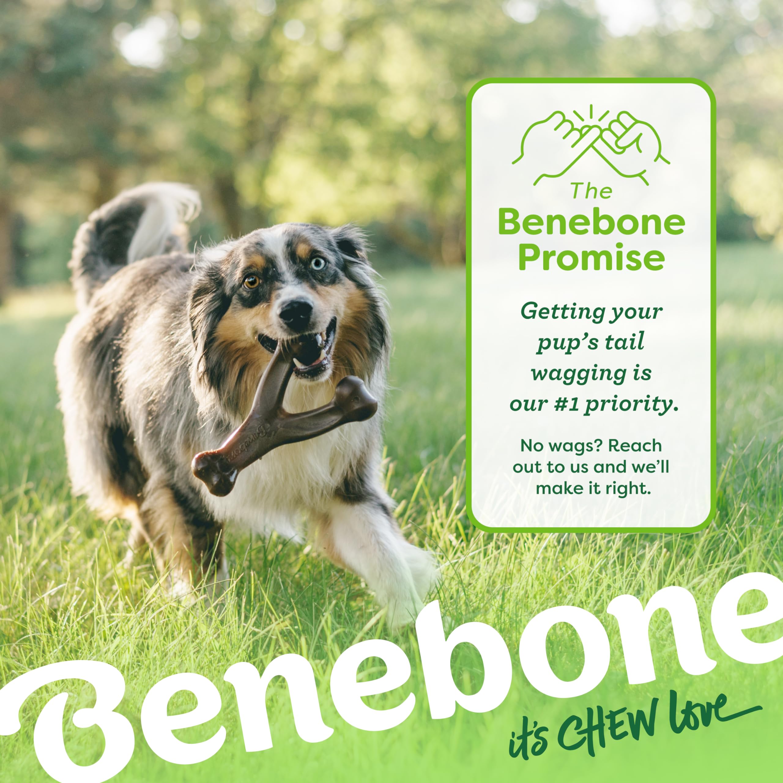 Benebone Wishbone Durable Dog Chew Toy - Real Bacon Flavor, Tiny Size, Made in USA 6