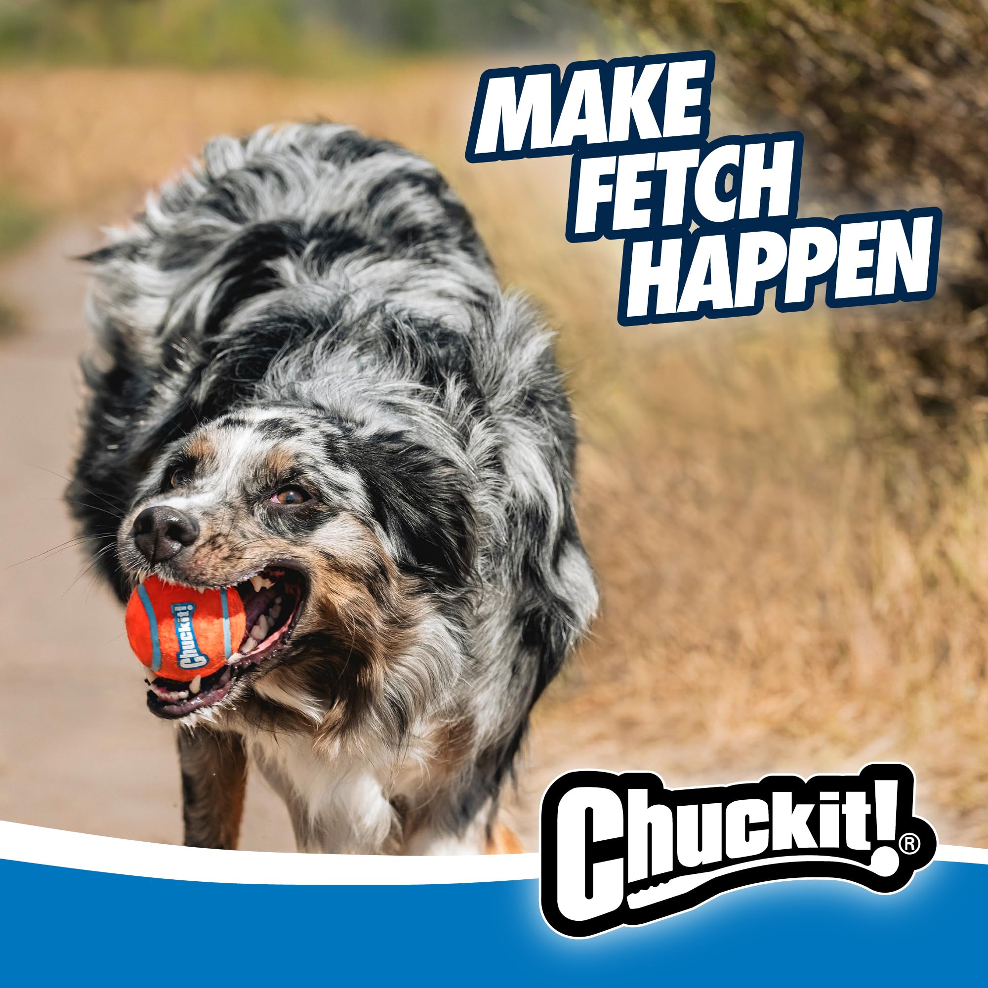 Chuckit! Sport Ball Launcher - Hands-Free Pickup & Throw | Medium Size | 30cm Long 9