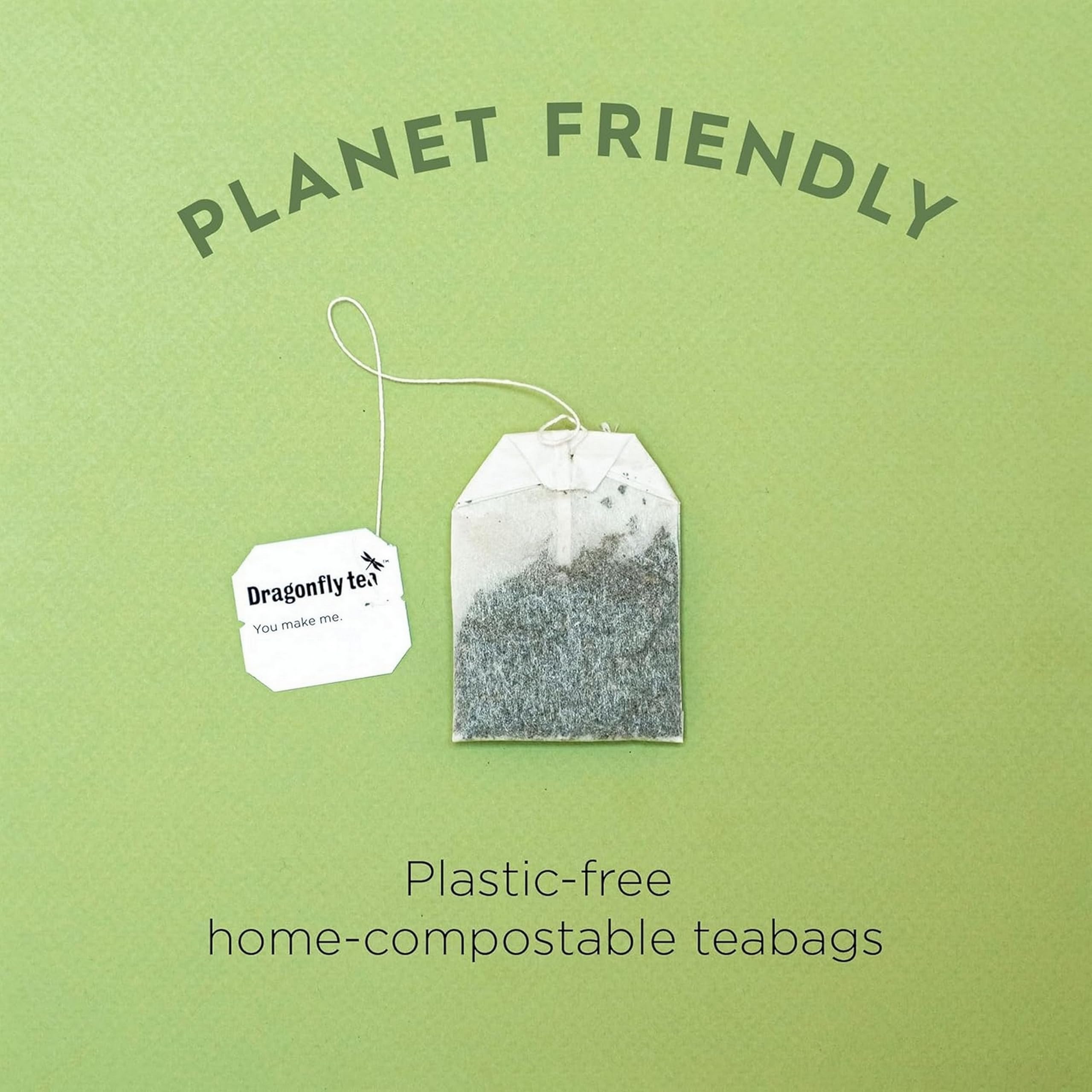 DRAGONFLY Organic Green Tea Moroccan Mint - 20 Teabags per Box, Pack of 4 (80 Total Teabags) 5