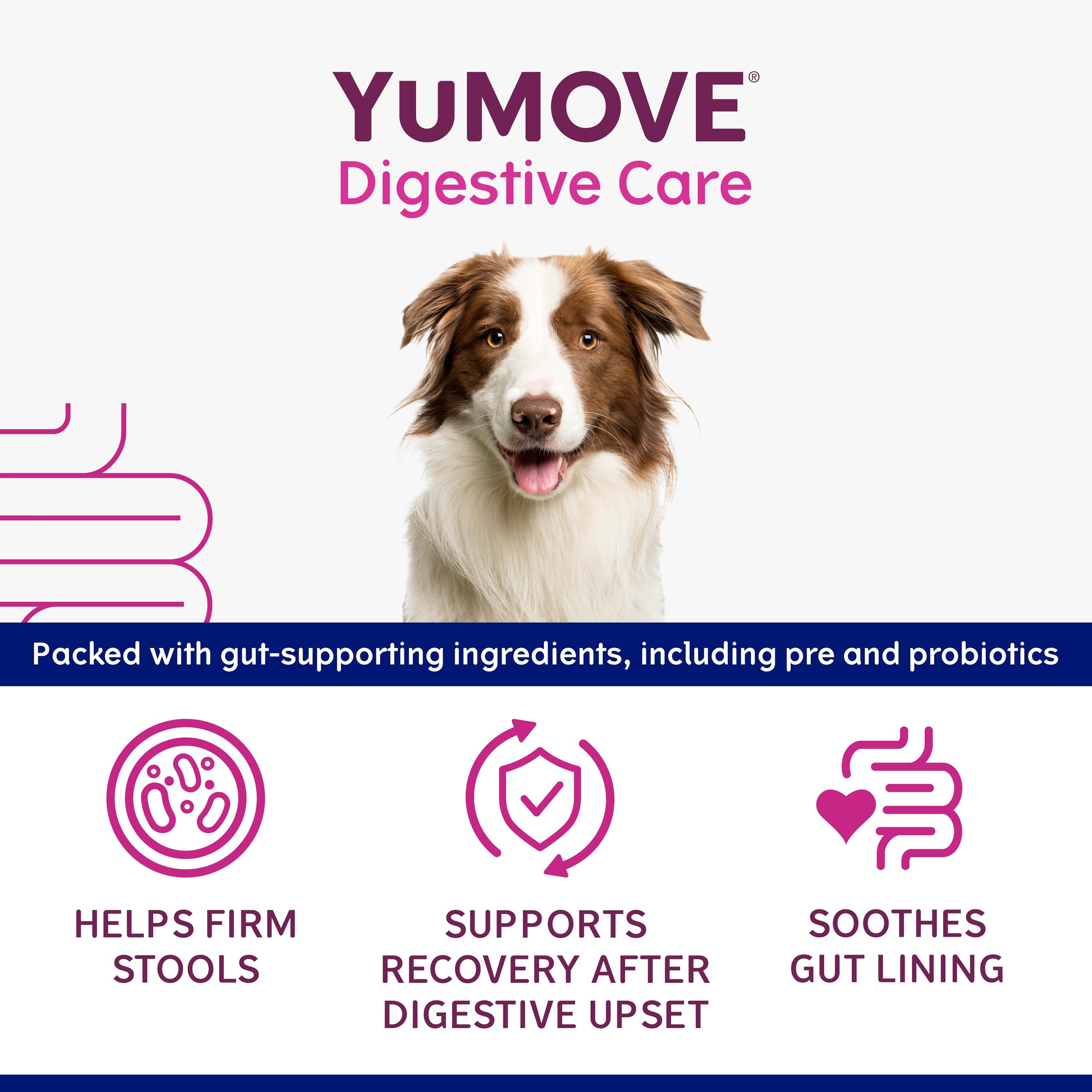 YuMOVE Digestive Care Rapid Pre and Probiotic Paste for Dogs Gut Health | 30ml 3