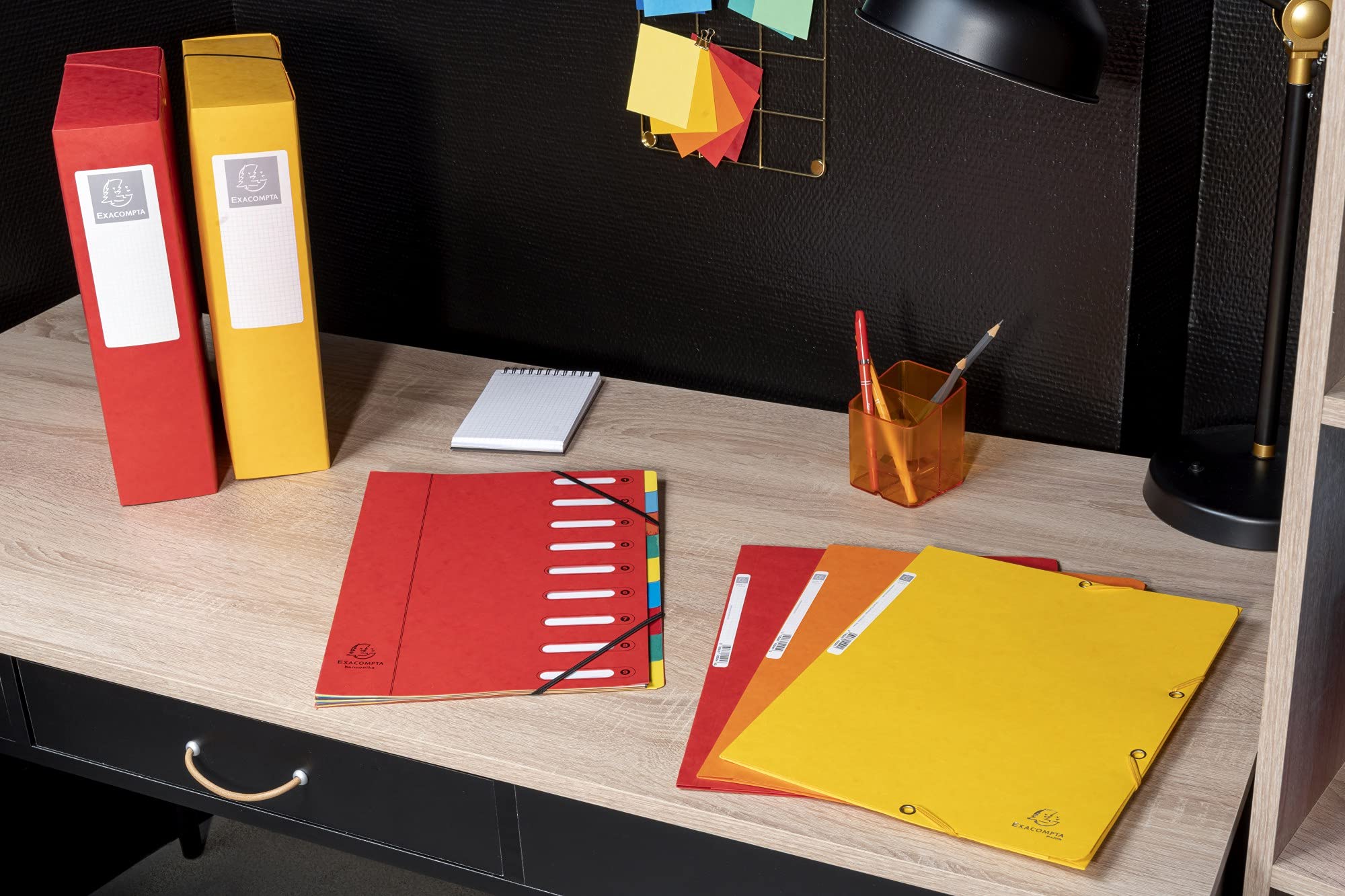 Exacompta Ref 55510E Elasticated 3-Flap File Folders | A4 | Assorted Colours | Pack of 10 5