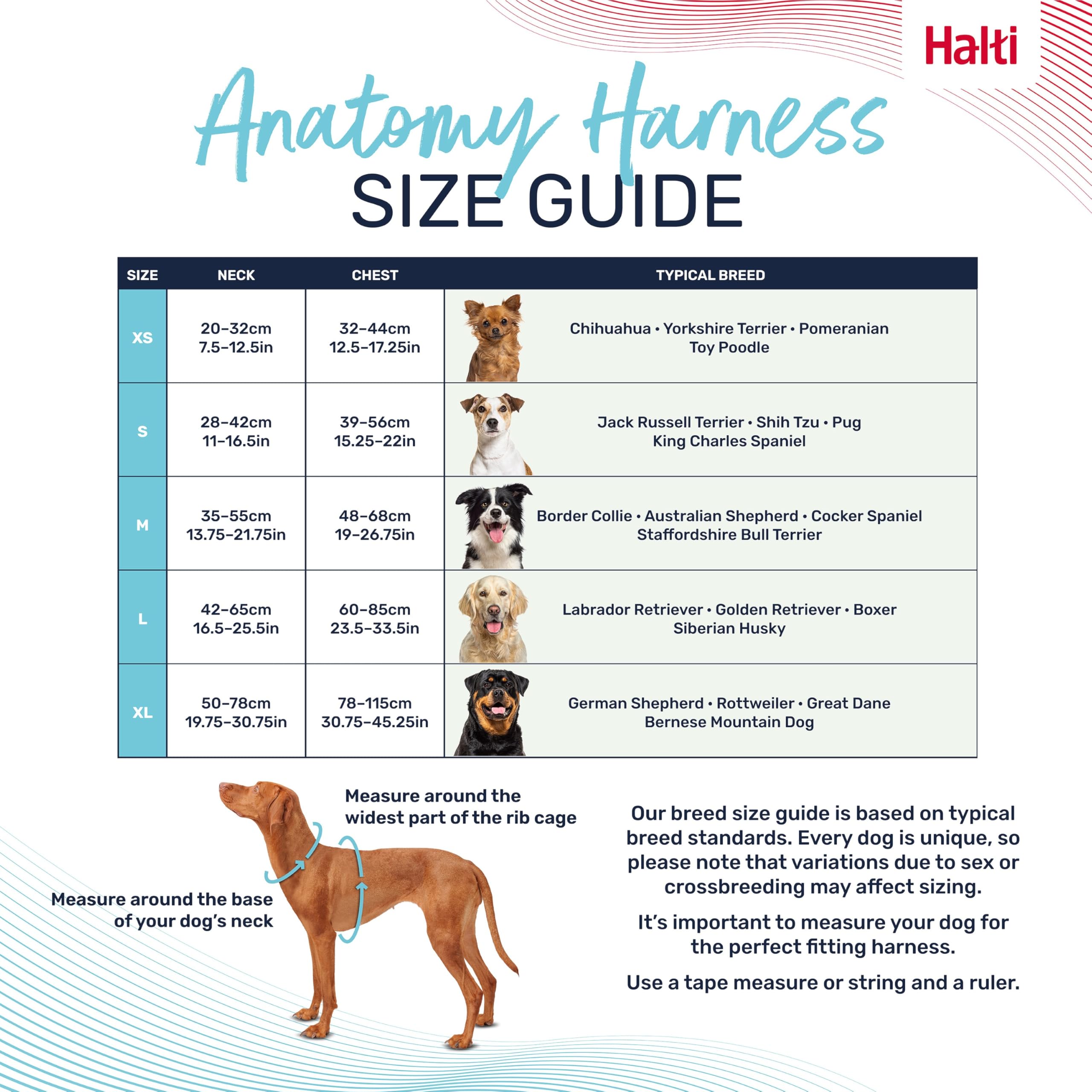 Halti Anatomy Dog Harness with Handle - Padded, Adjustable & Reflective | Size L, Grey 4