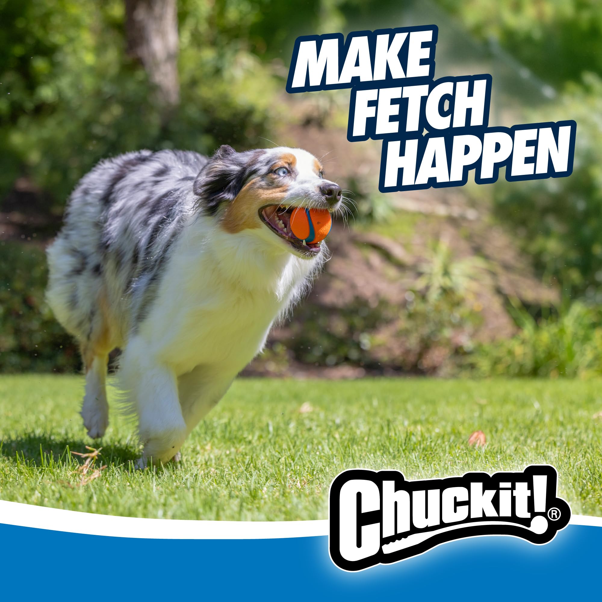 Chuckit! Ultra Ball - Durable High Bounce Rubber Dog Ball for Fetch | Launcher Compatible | Medium (2 Pack)