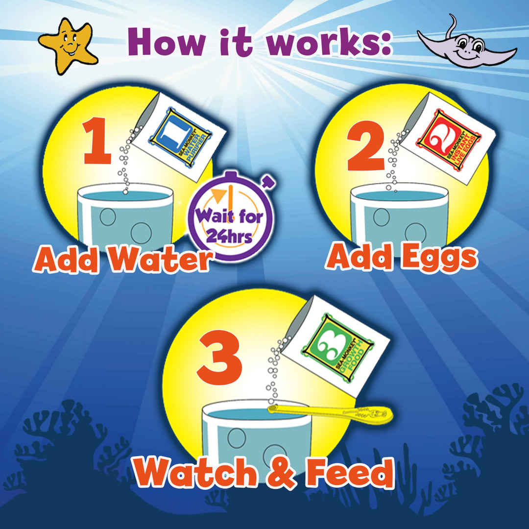 Sea Monkeys Ocean Treasure Aquarium - Educational Science Kit for Kids 6+