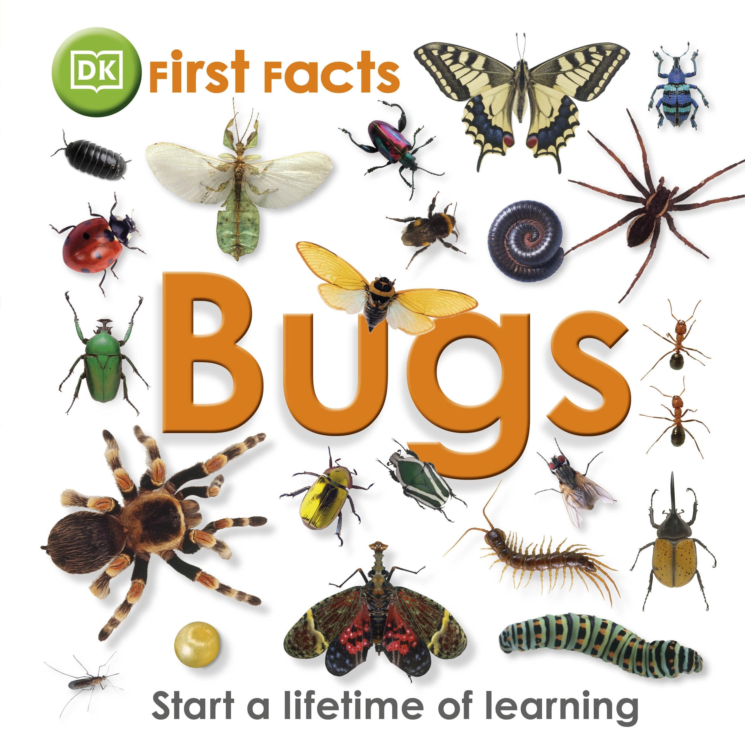 DK First Facts Bugs Reference Book | Hardcover | English | Ages 2-5