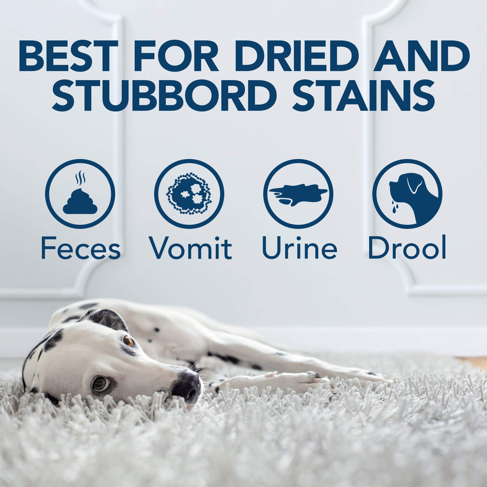 OUT! Urine Stain & Odour Destroyer - Enzymatic Pro-Bacteria Cleaner | 1 L | Vanilla Scent 3