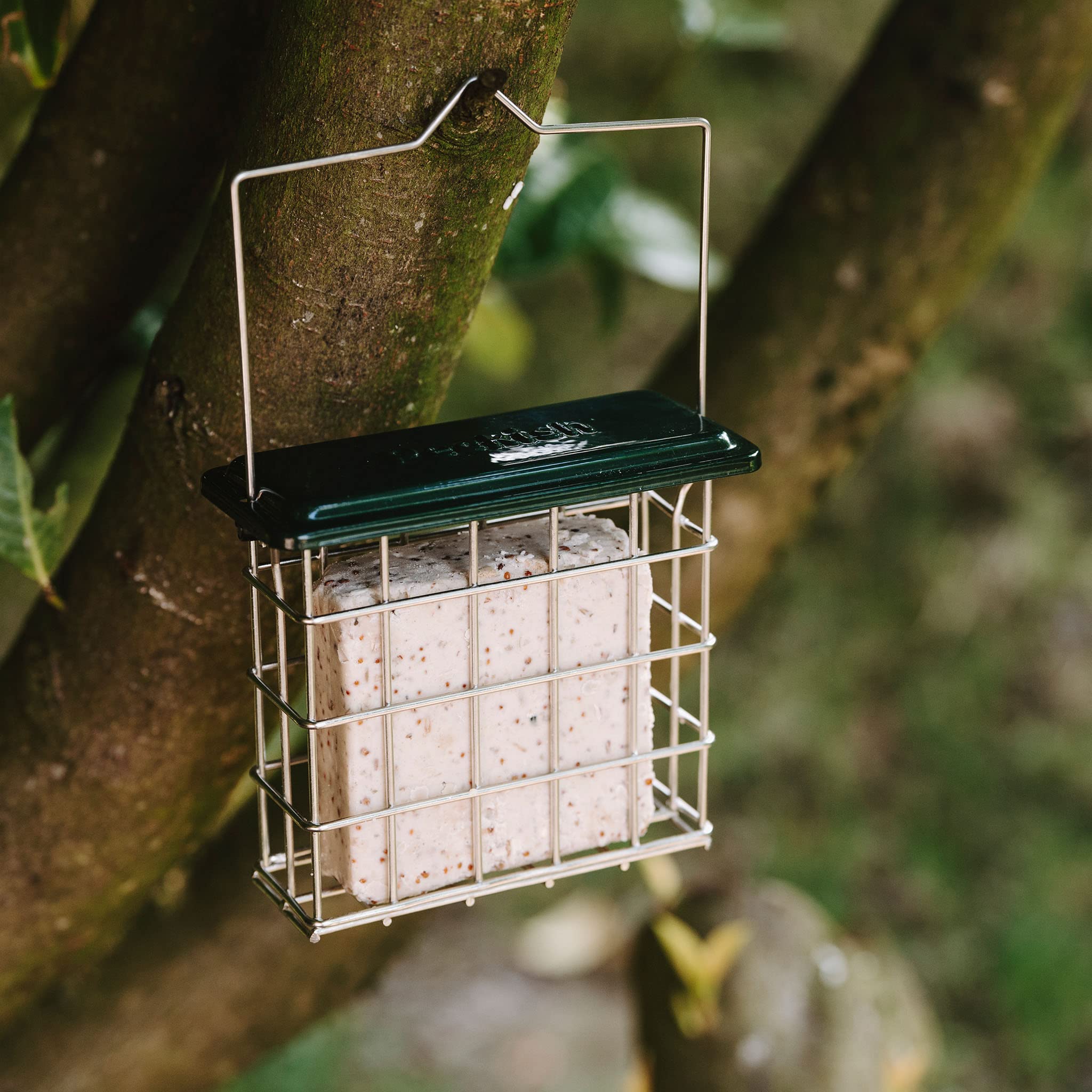 Peckish All Weather Suet Cake Feeder - Strong Metal Construction | Weather Resistant | Holds One Suet Block