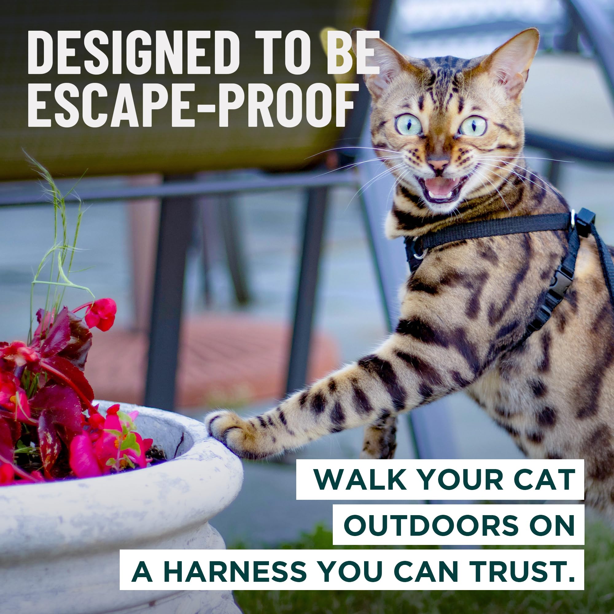 OutdoorBengal Escape Proof Cat Harness and Leash Set - Choke Free, Lightweight Neoprene | Medium, Black