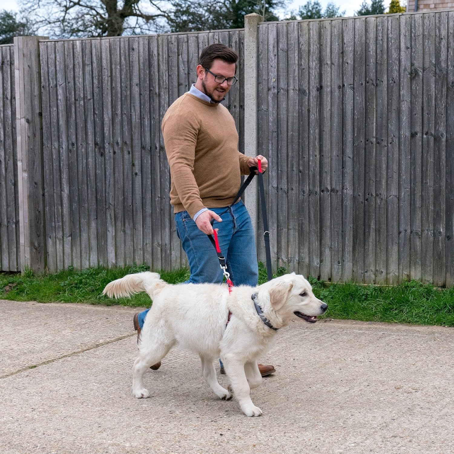 Halti Control Lead - Multi-Functional Double Ended Lead for Dogs | Black | Large 3
