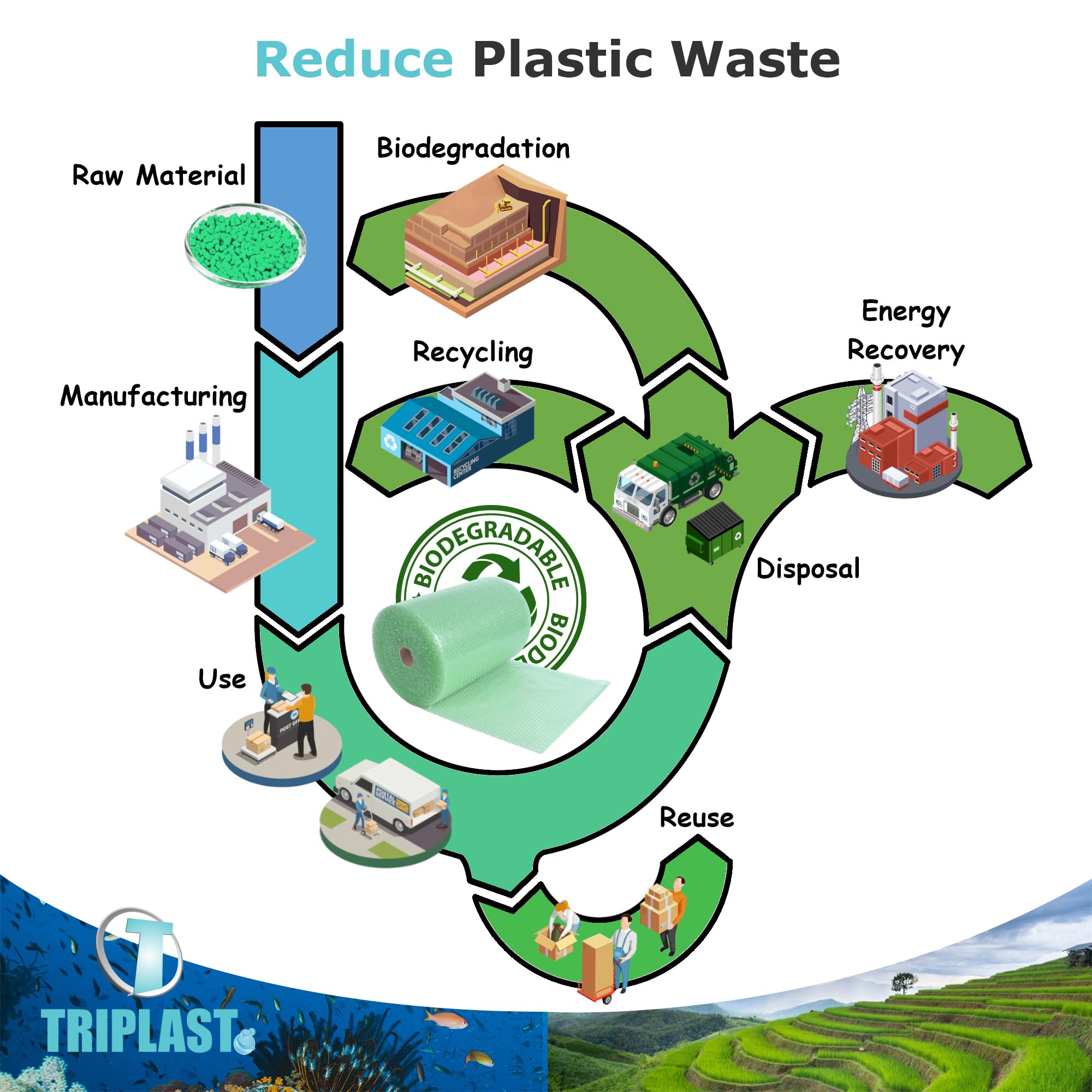 Triplast Biodegradable Green Bubble Wrap Roll - 400mm x 25m | Small 10mm Bubbles | Recycled Content 2