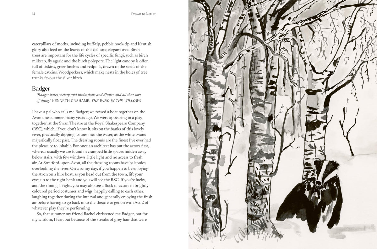 Frances Lincoln Drawn to Nature - A Journey into the Natural World with Caroline Quentin | Hardcover 3