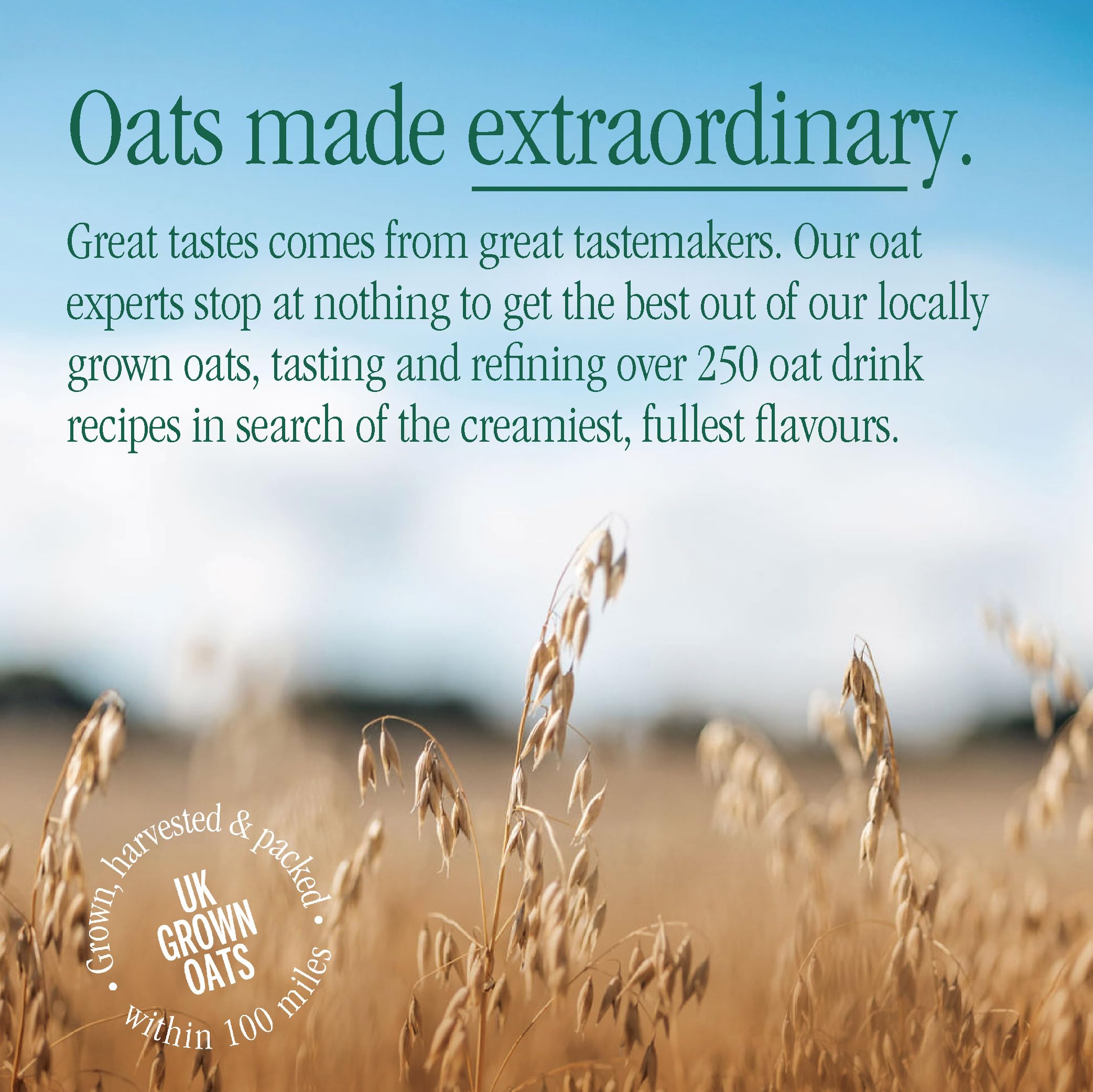 MOMA Salted Maple & Hazelnut Barista Oat Drink - 1L - Plant-Based, Foamable, Not From Concentrate 9