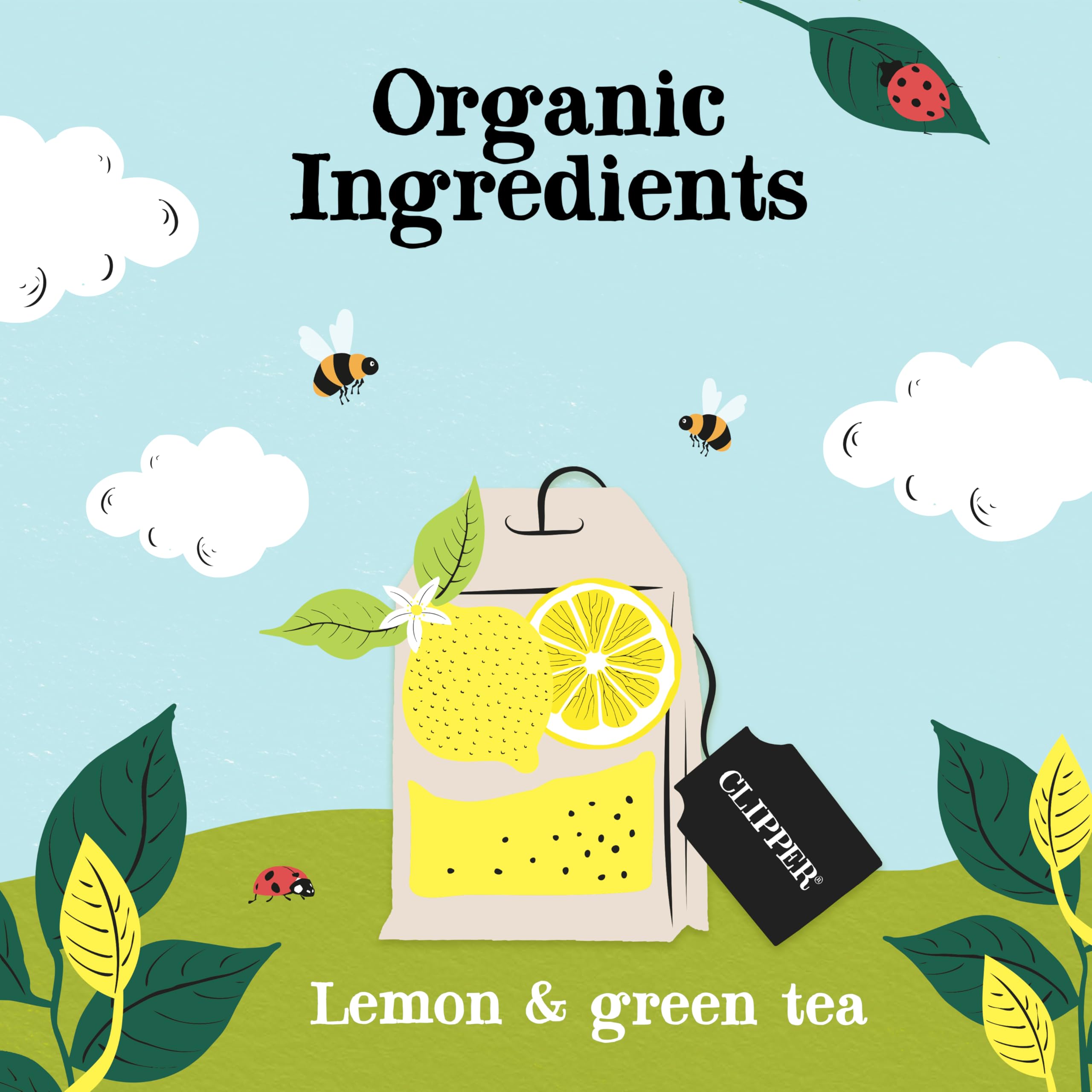 Clipper Organic Lemon Green Tea Bags - 120 Count (6x Boxes of 20) | Fairtrade & Plastic-Free 3