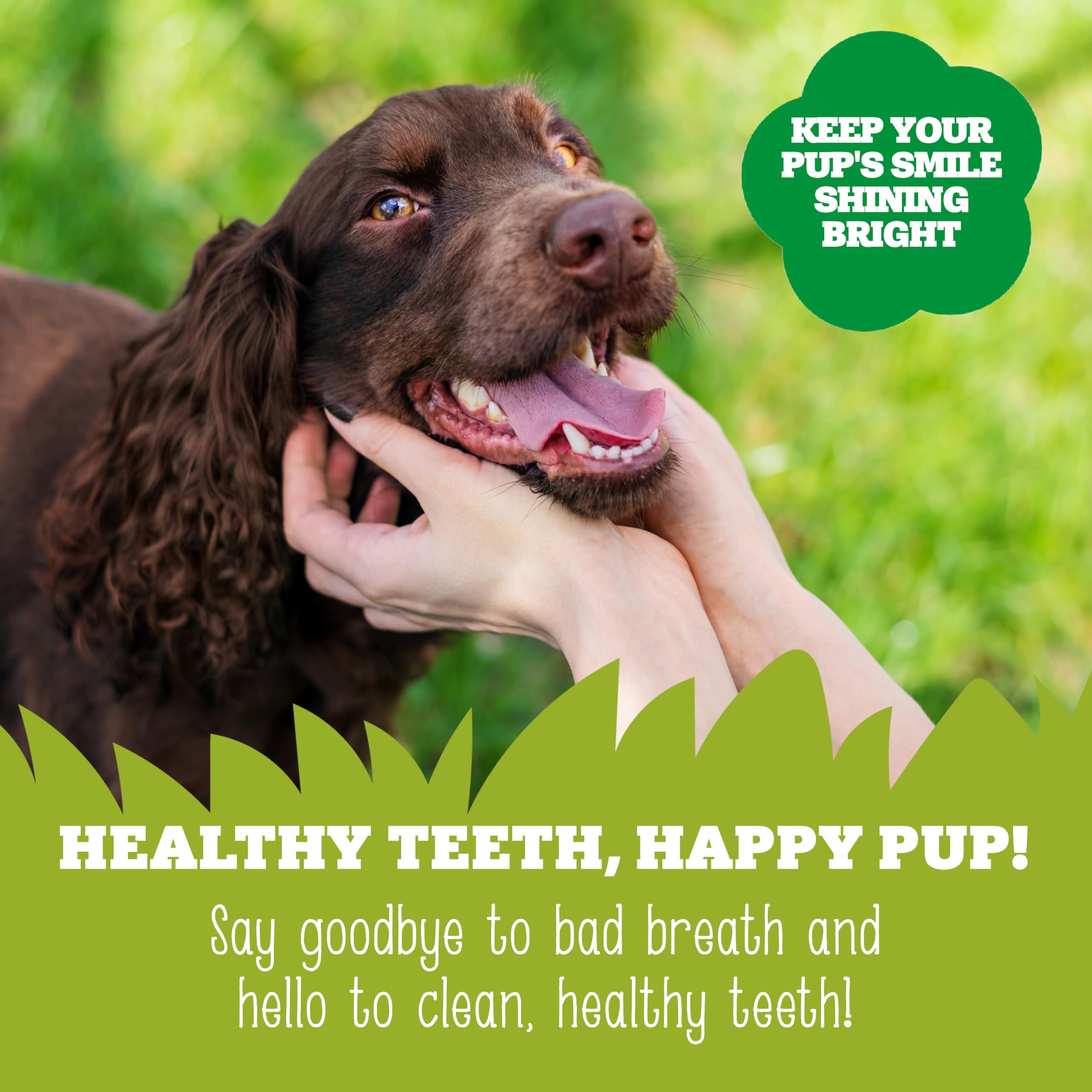 Soopa Watermelon & Apple Dental Sticks for Dogs - Hypo-Allergenic, Low Fat | 100g Bag 4
